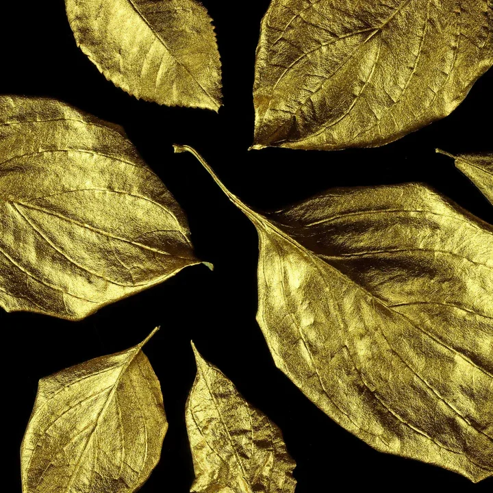 supergild-gold-leaves.webp