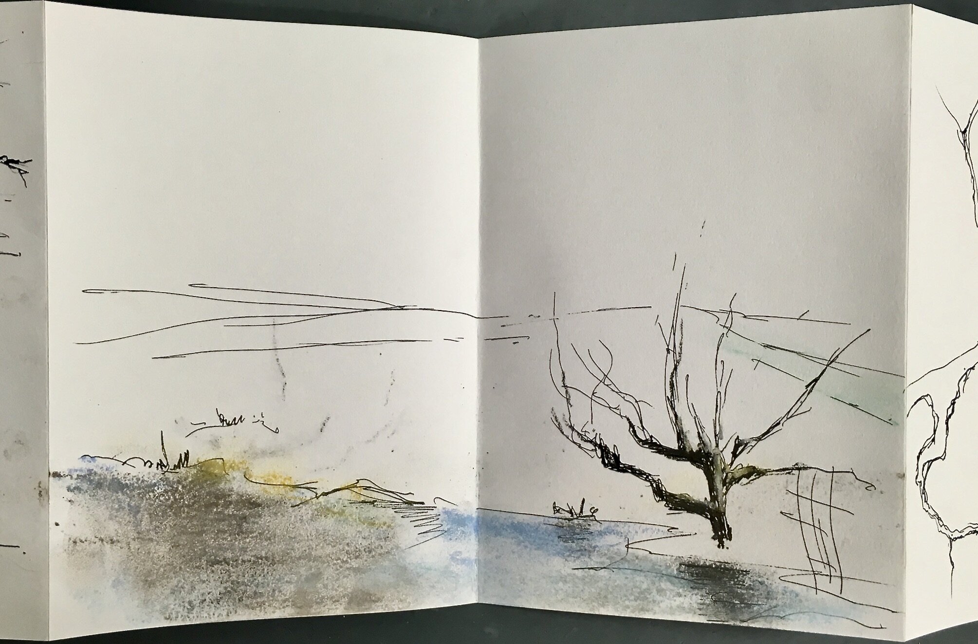 Sketchbook 1 2.jpeg