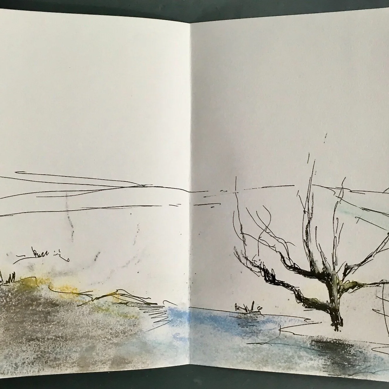 Concertina sketchbook