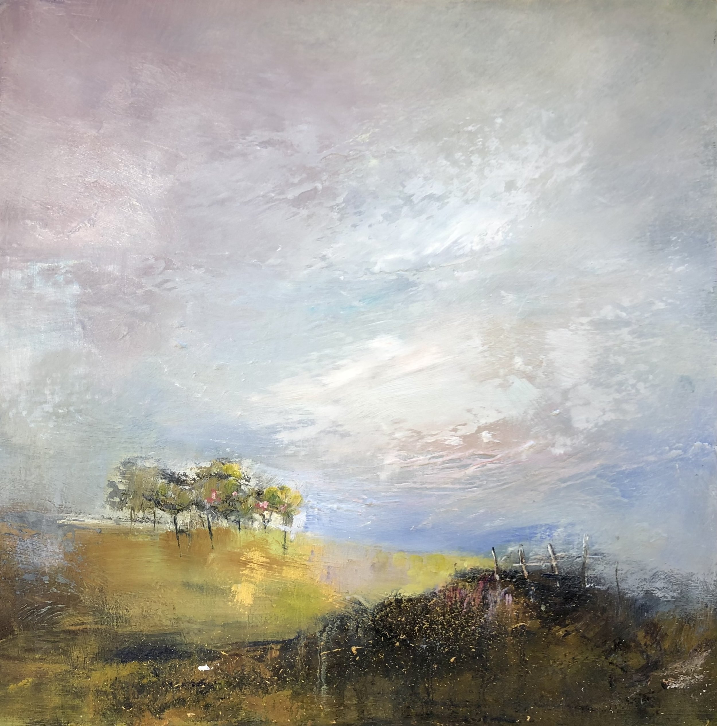 Distant Hawthorn .jpeg