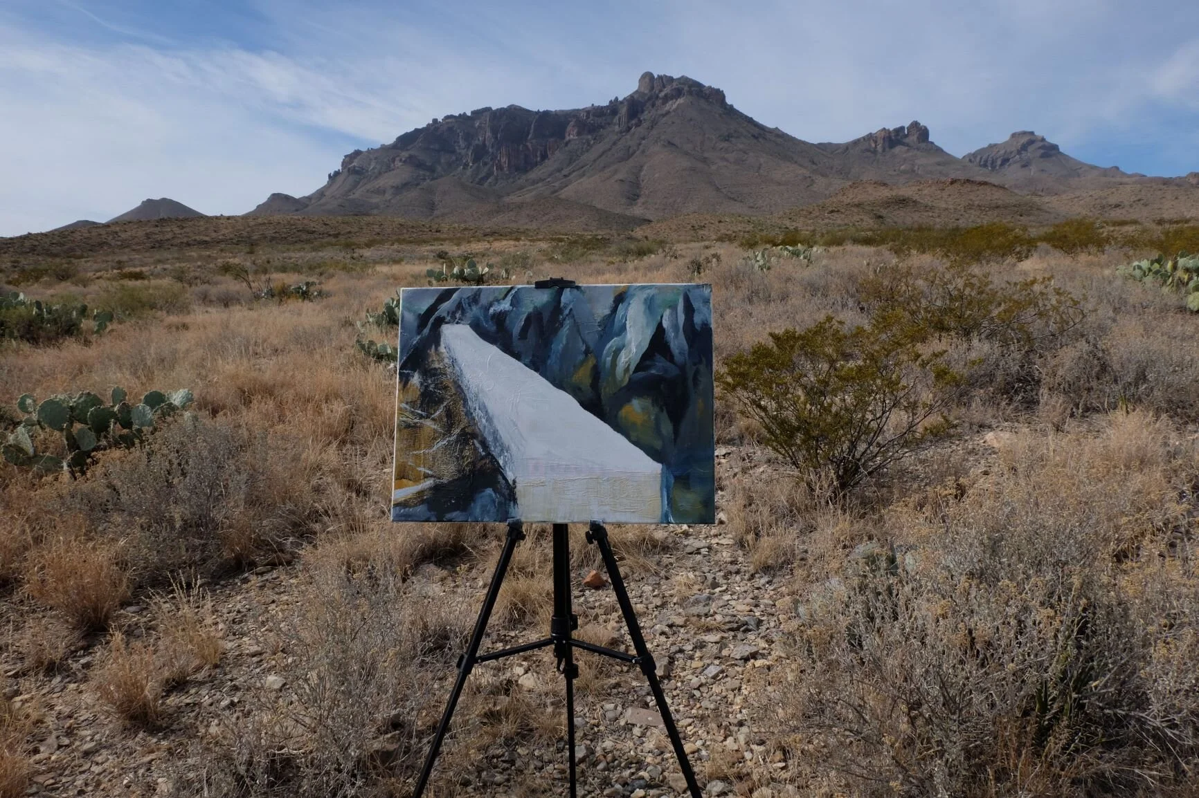 Comanche dreams sm.jpg