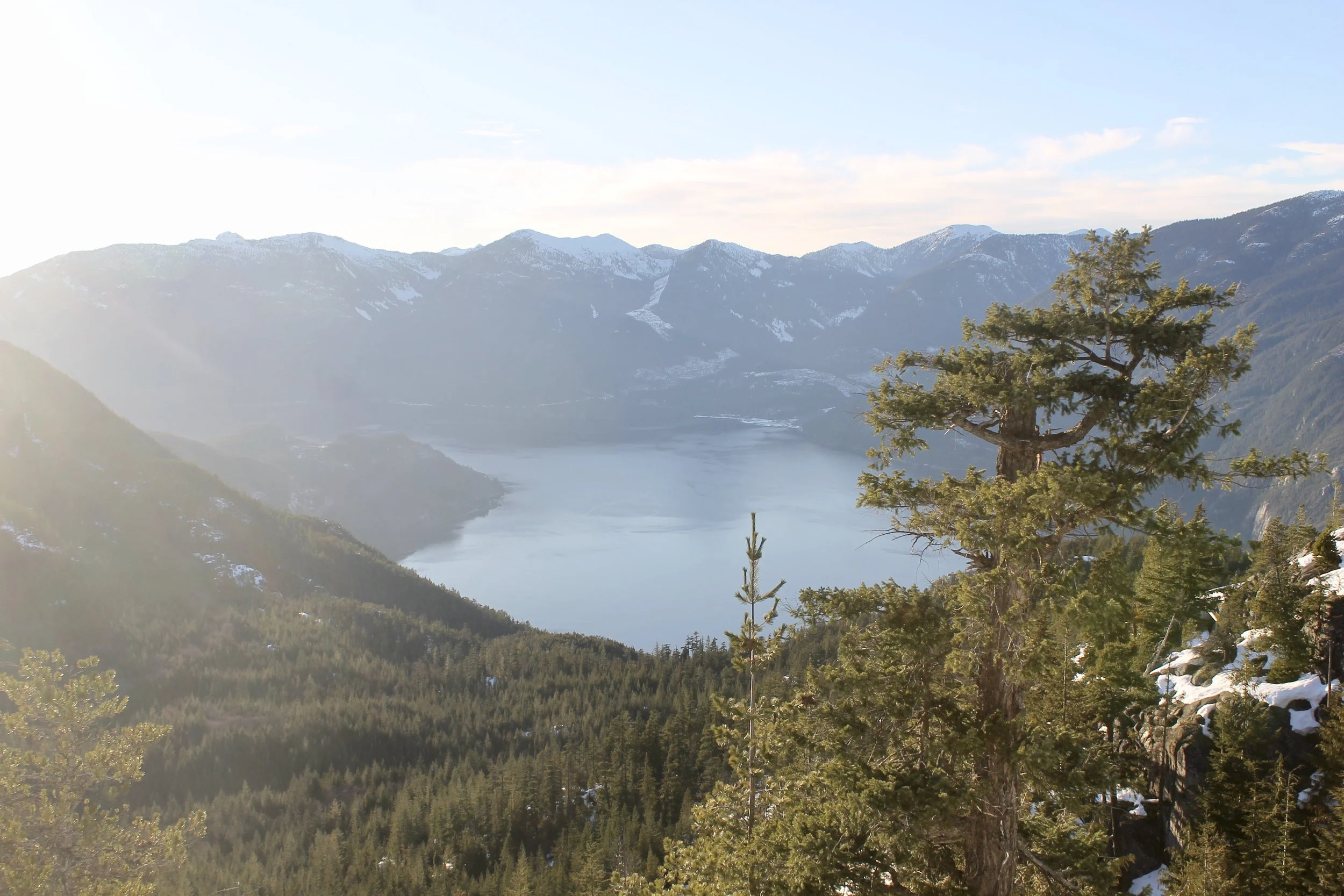 Upcoming shows / Concerts à venir