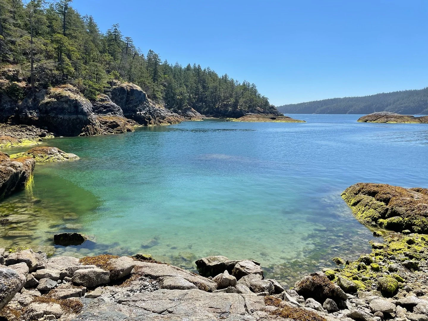 Exploring the Sunshine Coast earlier this month 🌊