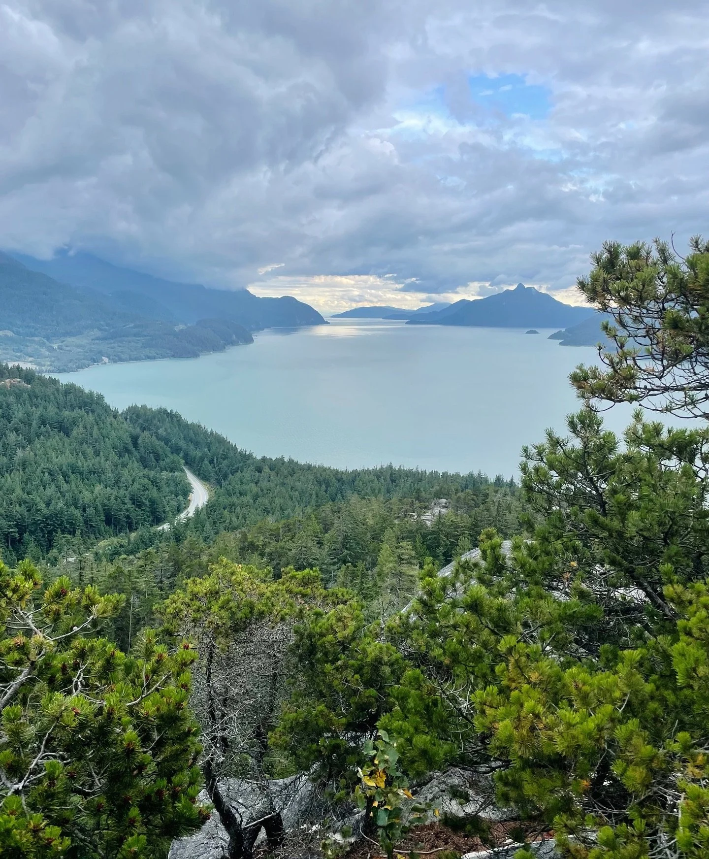 Summer on the west coast 🌼🏔️

Heading out east for the next few weeks for the @jocelynandellen fall tour - if we&rsquo;re coming to your area, it would be great to say hi!