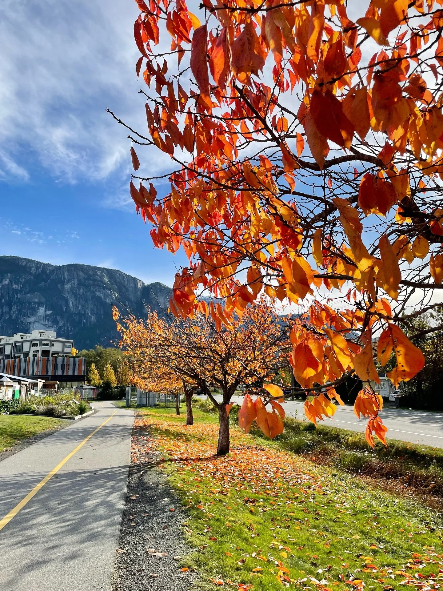 Welcome November! Thank you, sun, for making an appearance today ☀️🍂