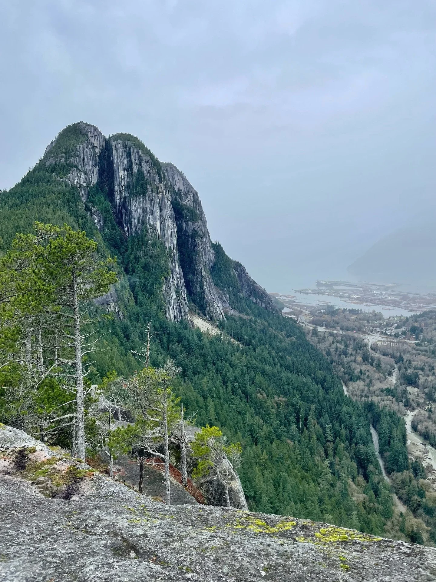 Misty, windy, snowy, an occasional moment of sun&hellip; all the weather these days!! Hope you&rsquo;re staying warm and dry ❄️🌧️