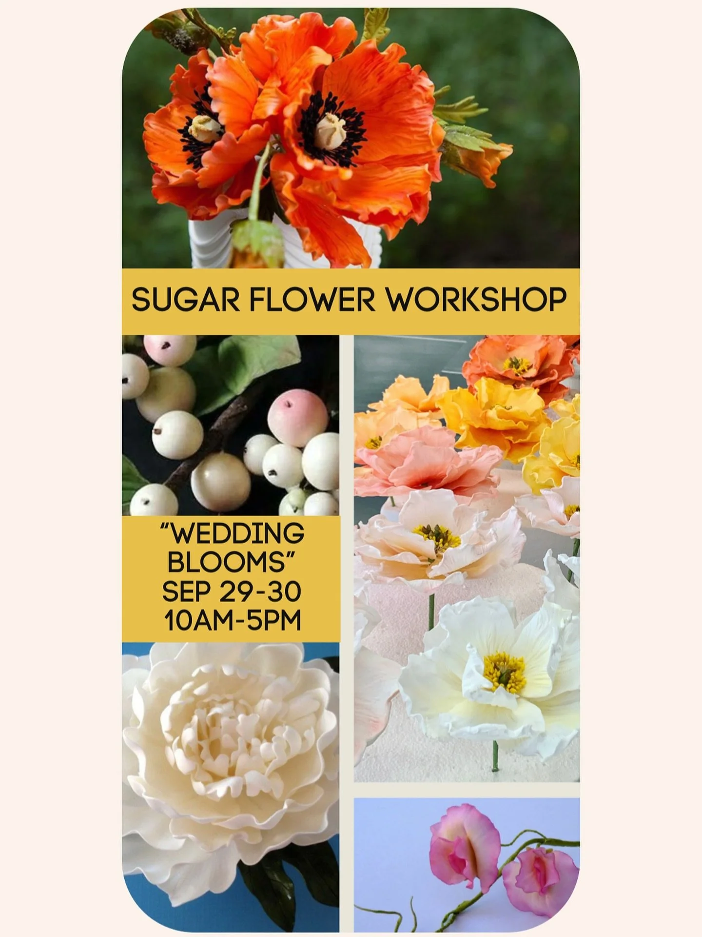 🌼 A few spots remain for this super fun and fulfilling sugar flower workshop I&rsquo;ll be teaching later this month. These classes are PERFECT for beginners, as many of my past students will confirm &mdash; no prior gumpaste experience is necessary