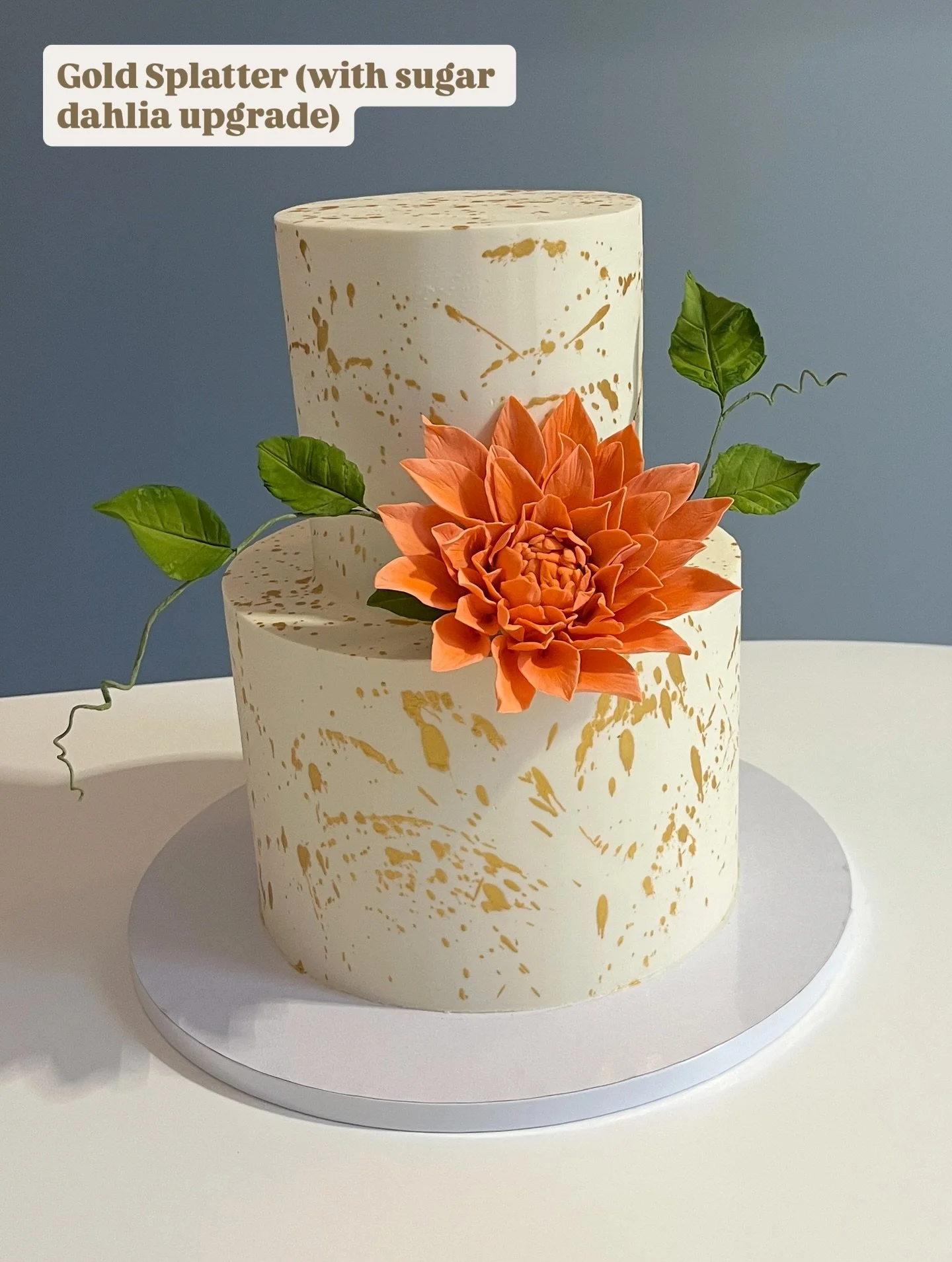Some of the cakes that have left our doors over the past couple weeks. If you&rsquo;d like your own version of any of these designs, visit our online store! I&rsquo;ve added the names of each design here for ease. Thanks as always to all our clients 