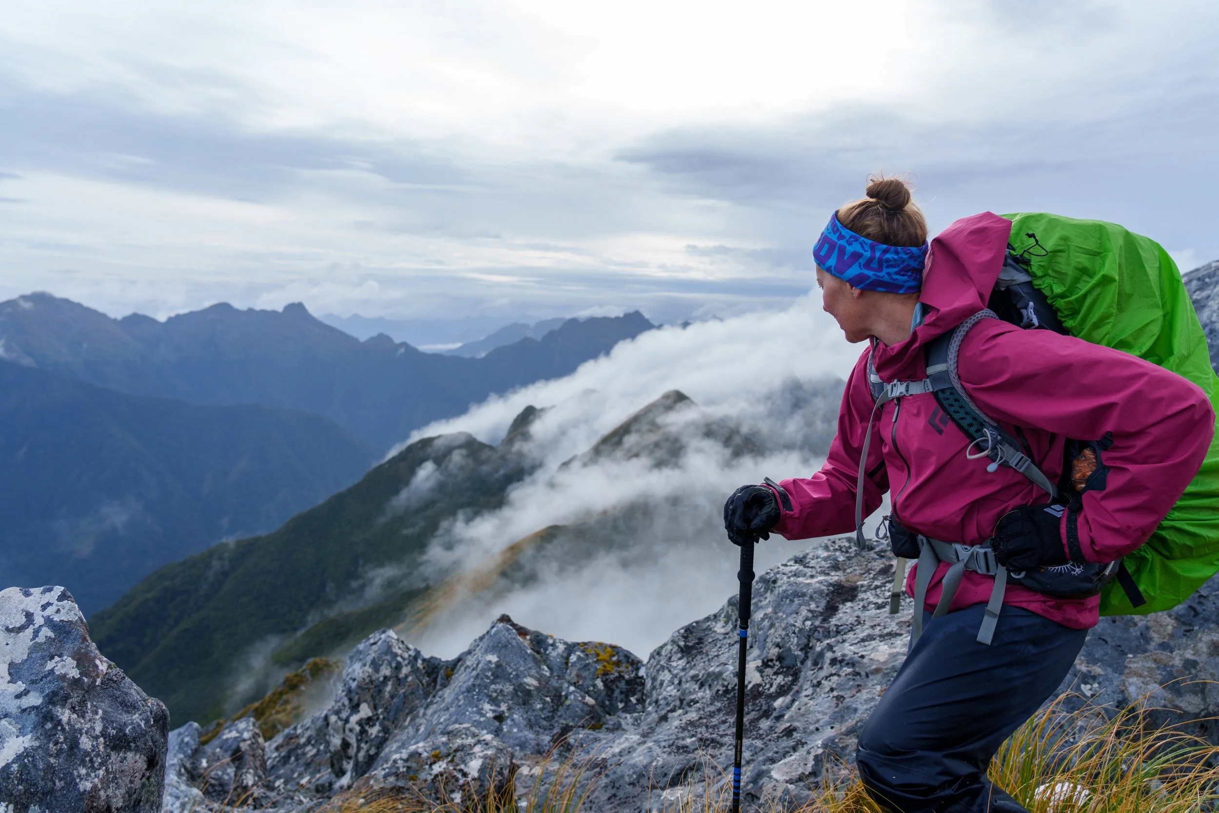 Fiordland Traverse - 1.jpg