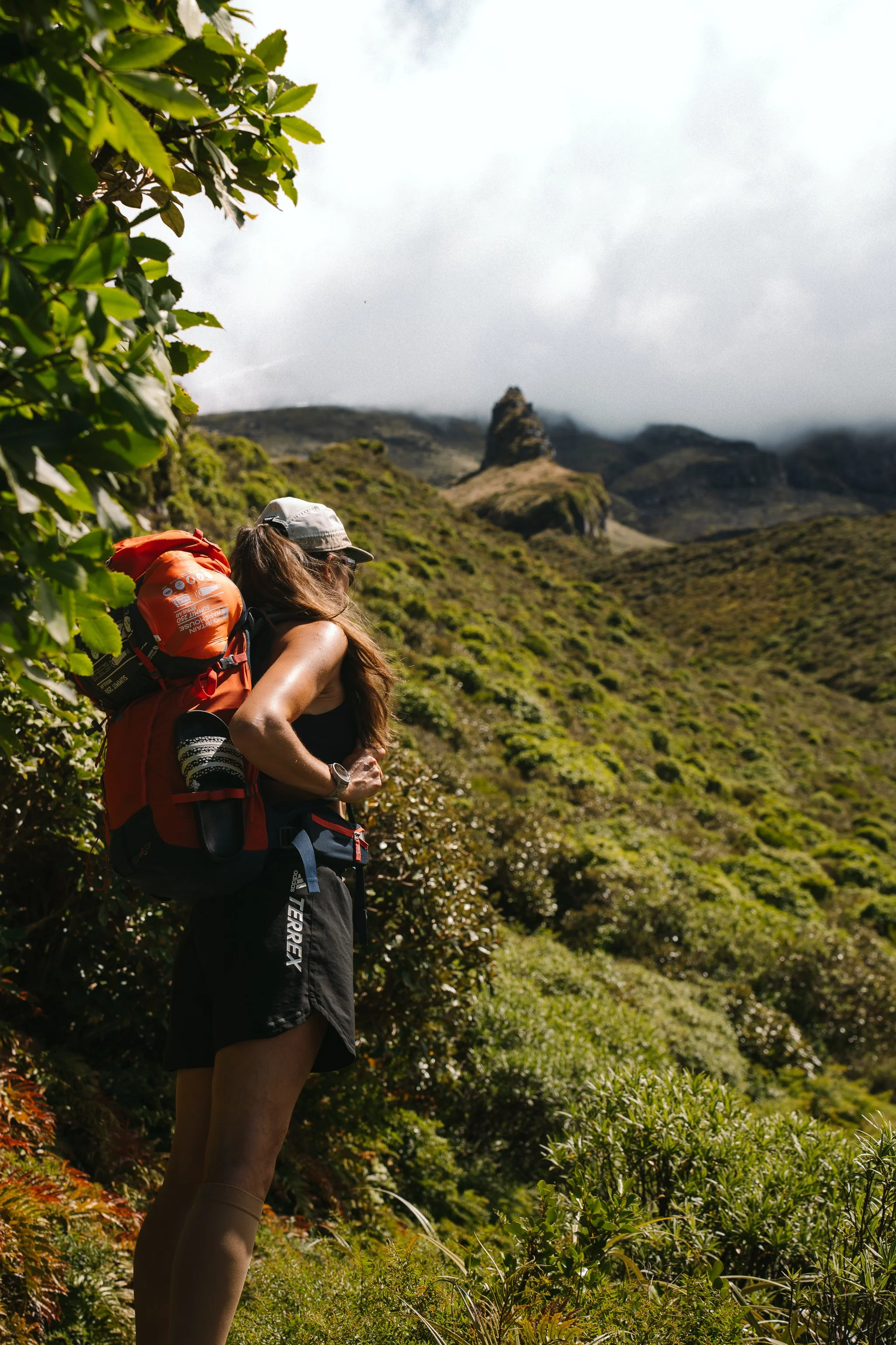 Copy of Colors of Mt Taranaki-1.jpg