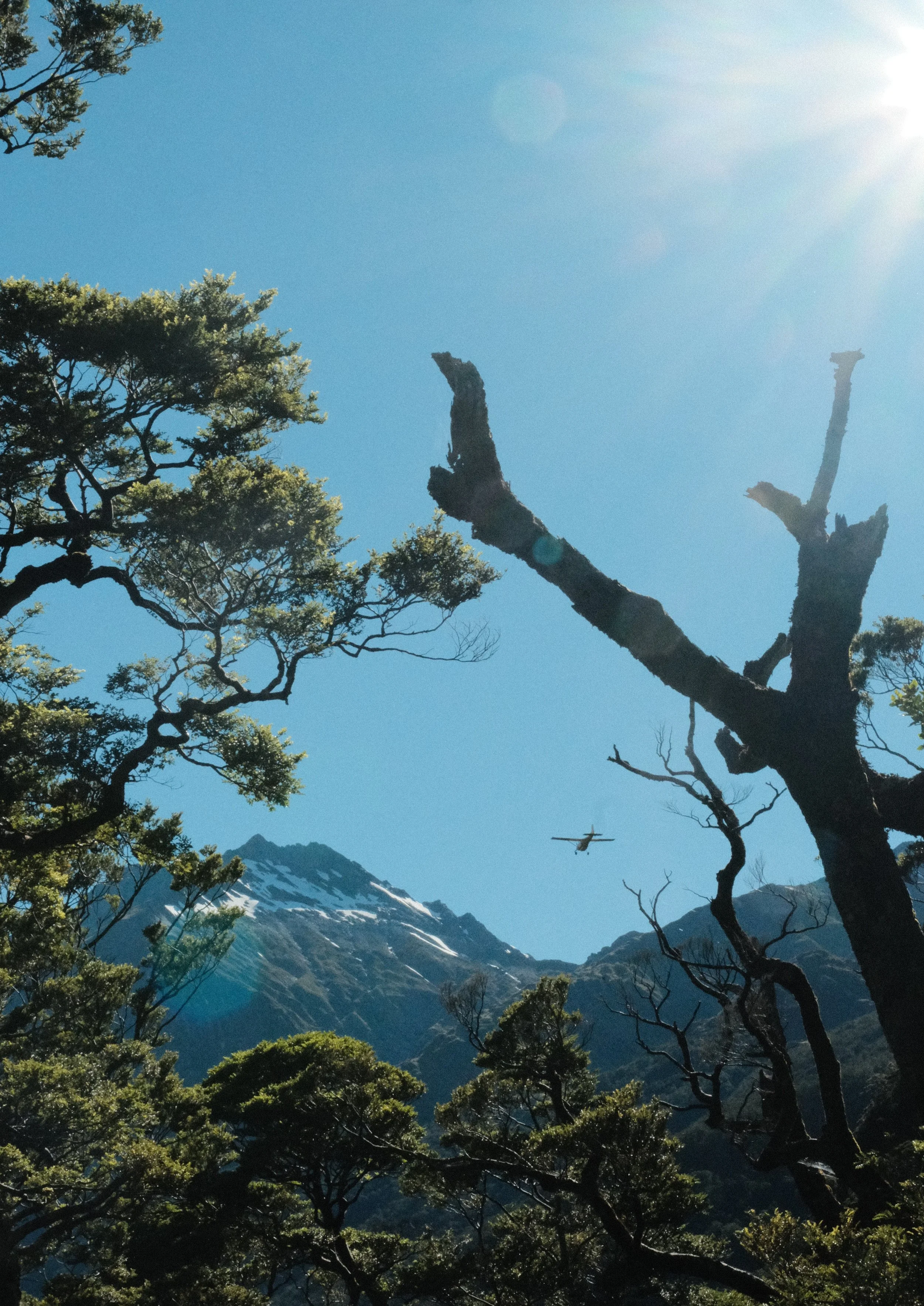 Gillespie Pass - 4.jpg
