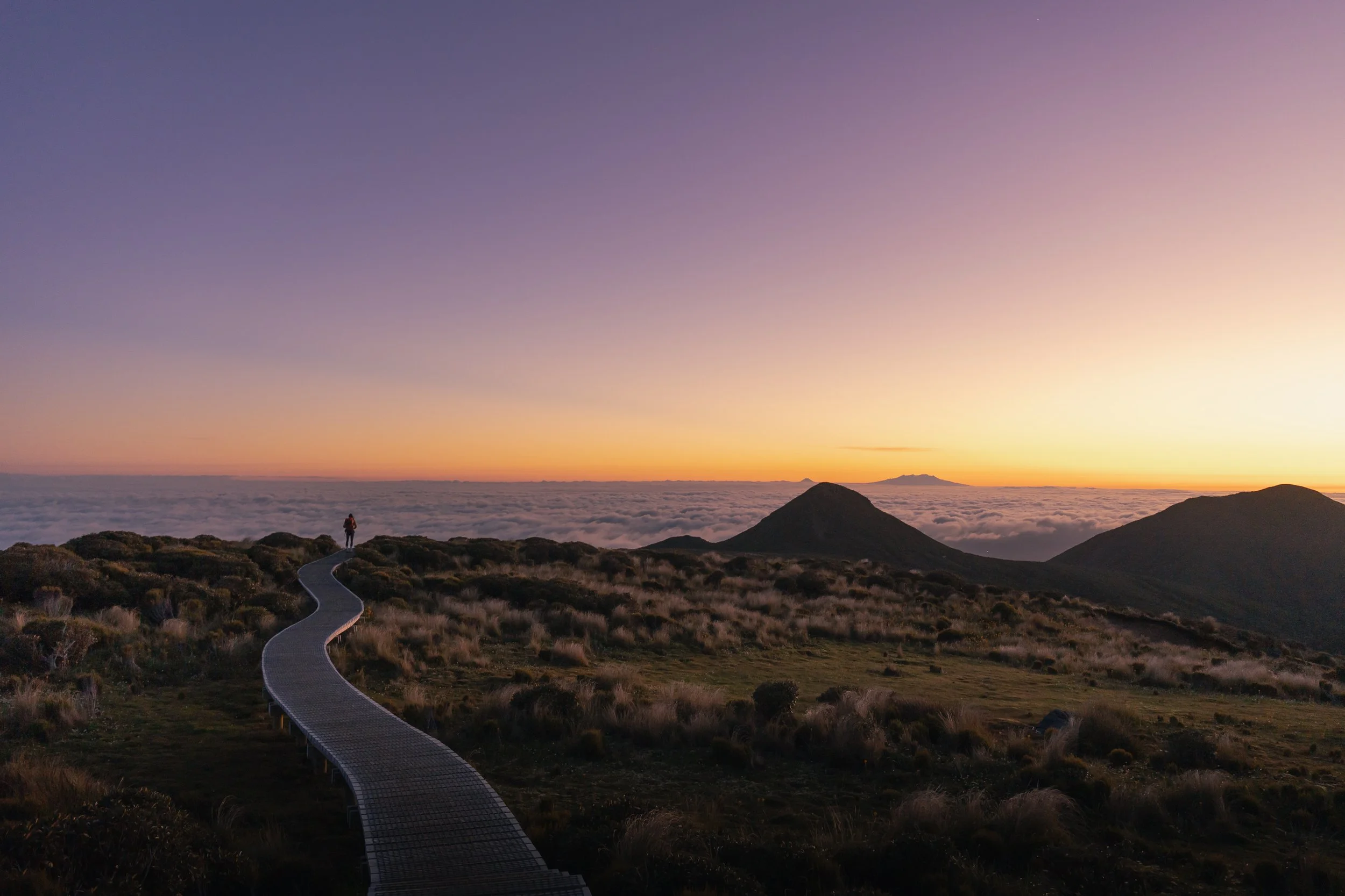 Copy of Colors of Mt Taranaki-5.jpg
