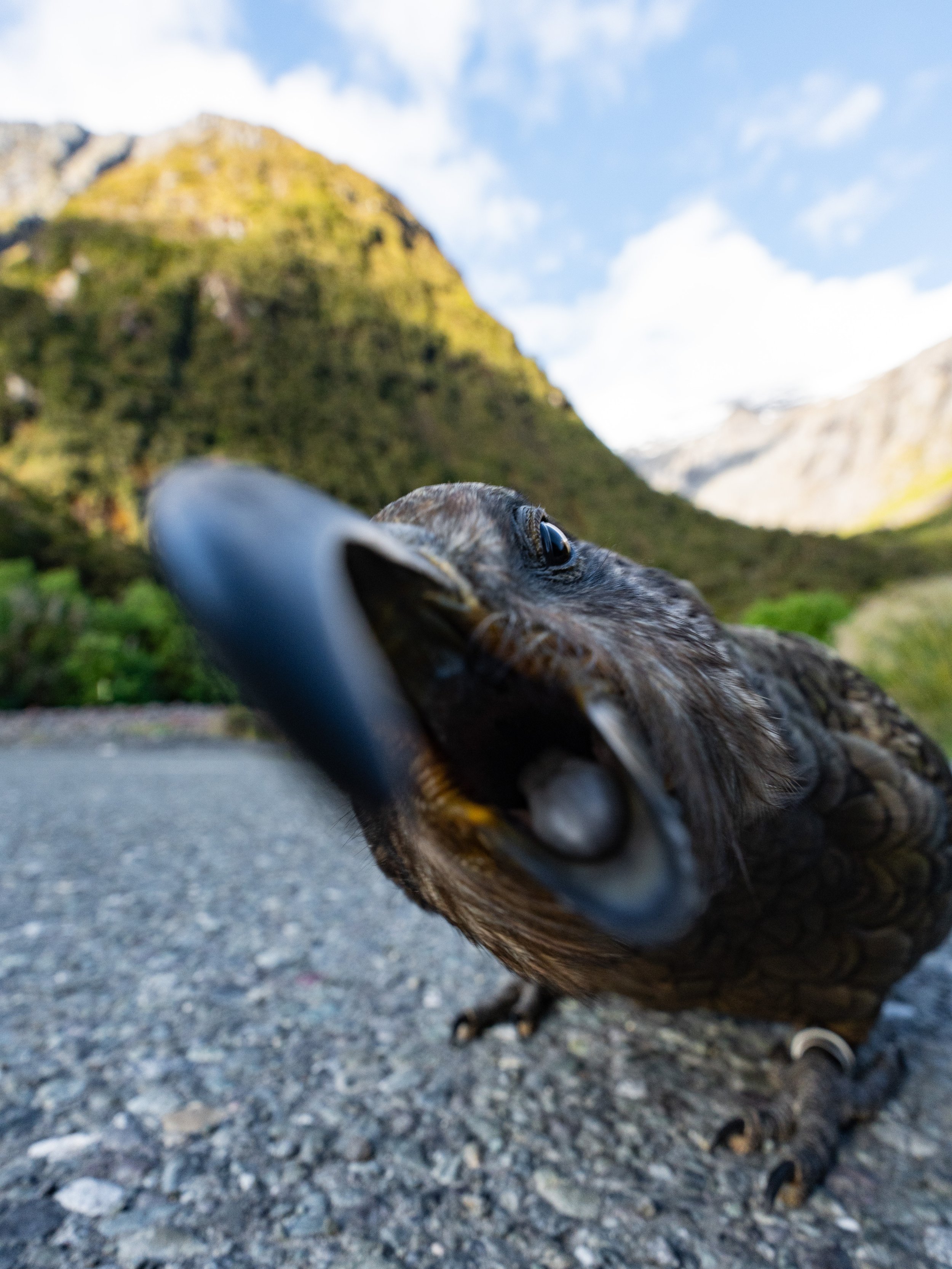 Outdoor photo story competition-1.JPG