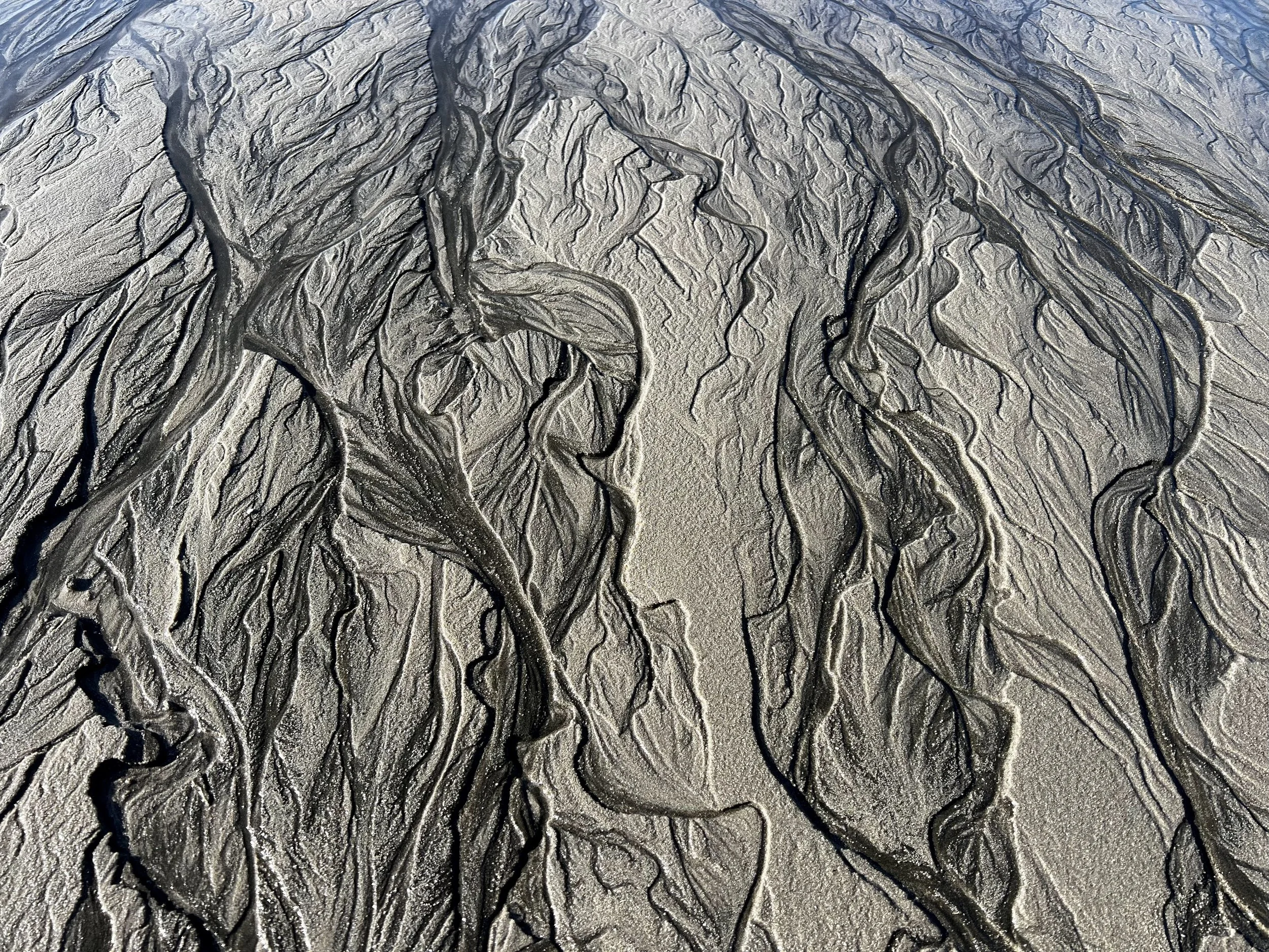 Ohope Dreaming 1.jpg