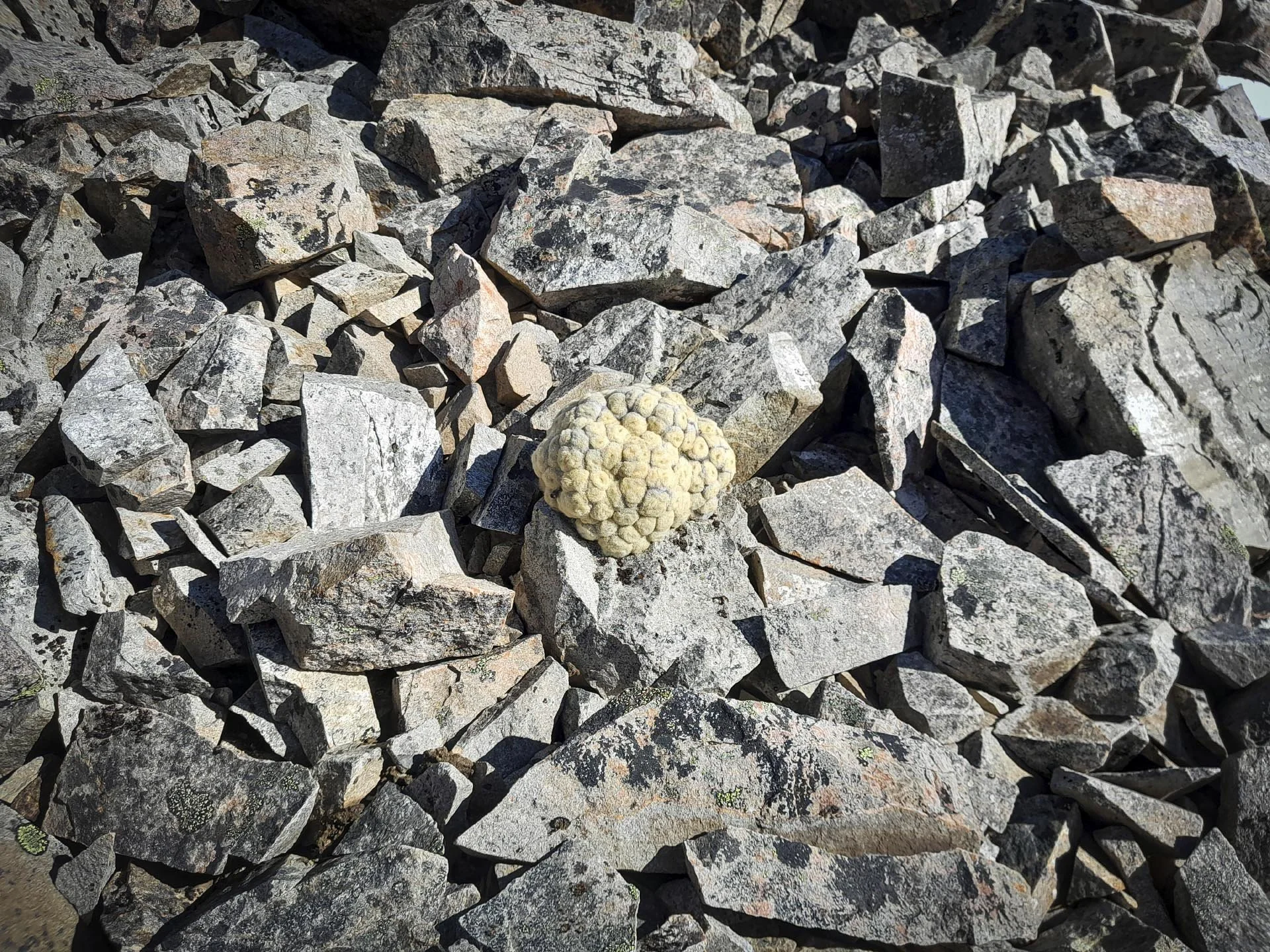 Taking a Princess Bath - 5.jpg