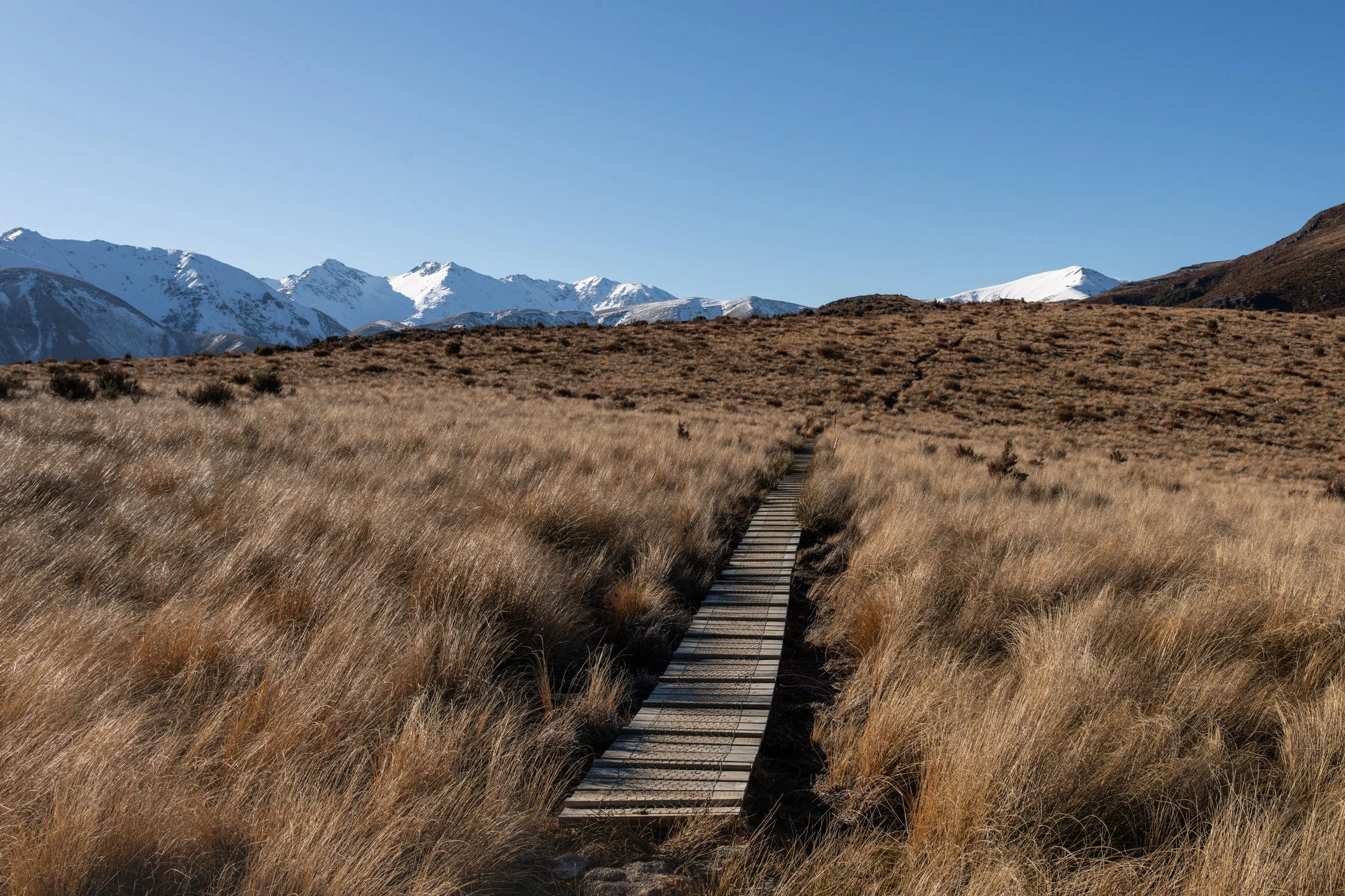 Somers In Winter - 2.jpg