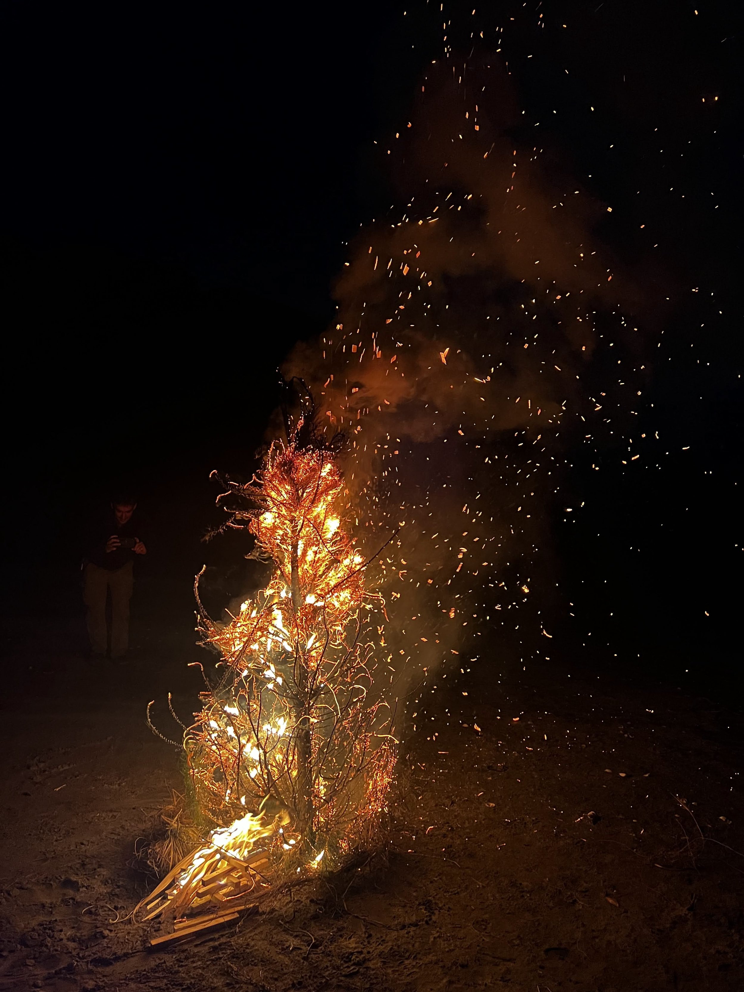 Ohope Dreaming 5.jpeg