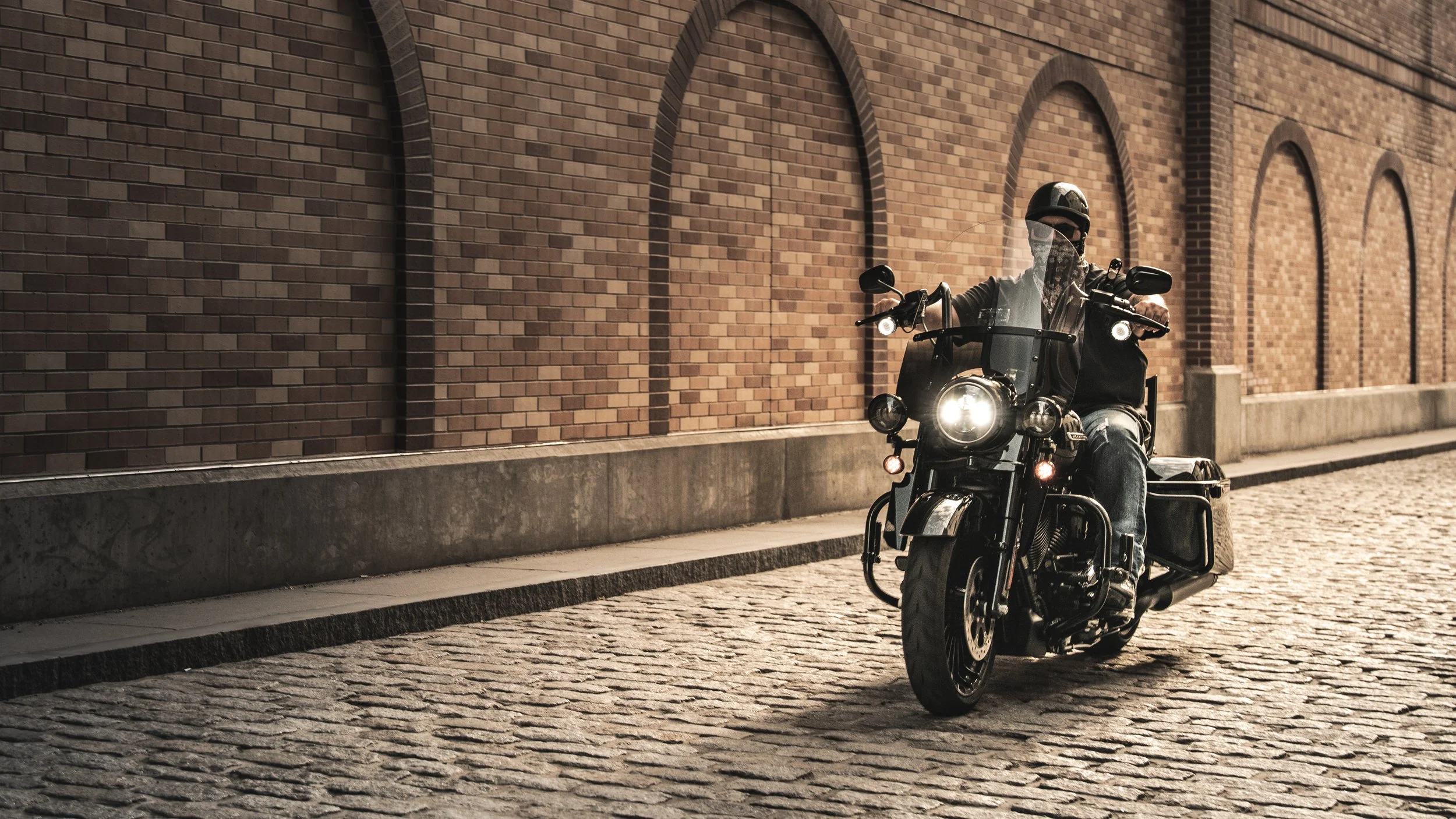 HarleyRoadKingSpecial(26of27).jpg