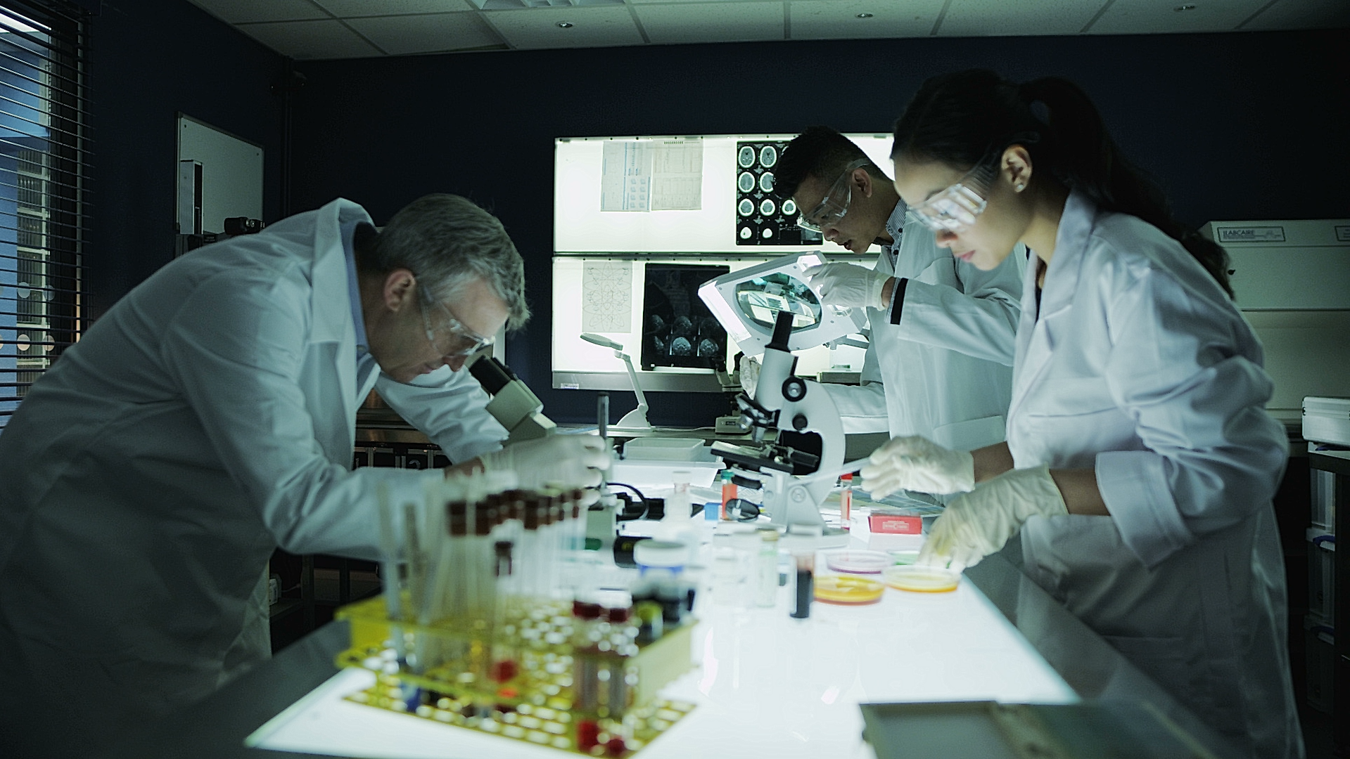 Iris Home PAge photo.PNG