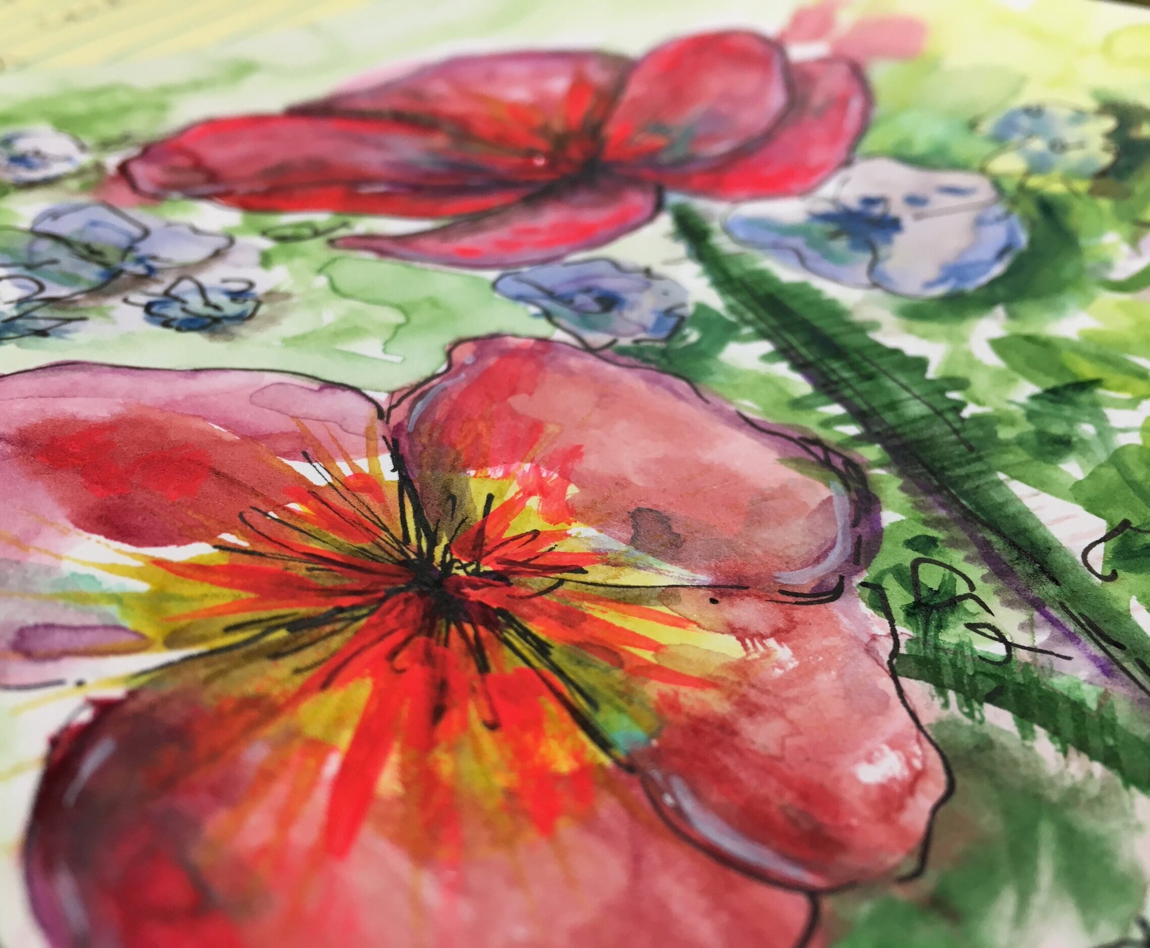 WATERCOLOR 5