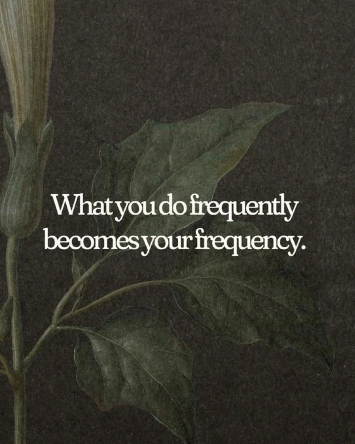 From a neuropsychology lens, your brain is constantly adapting through neuroplasticity—the process of strengthening pathways you use most often. Think of it like this: every repeated thought, feeling, or behavior is a rehearsal, and your nervou