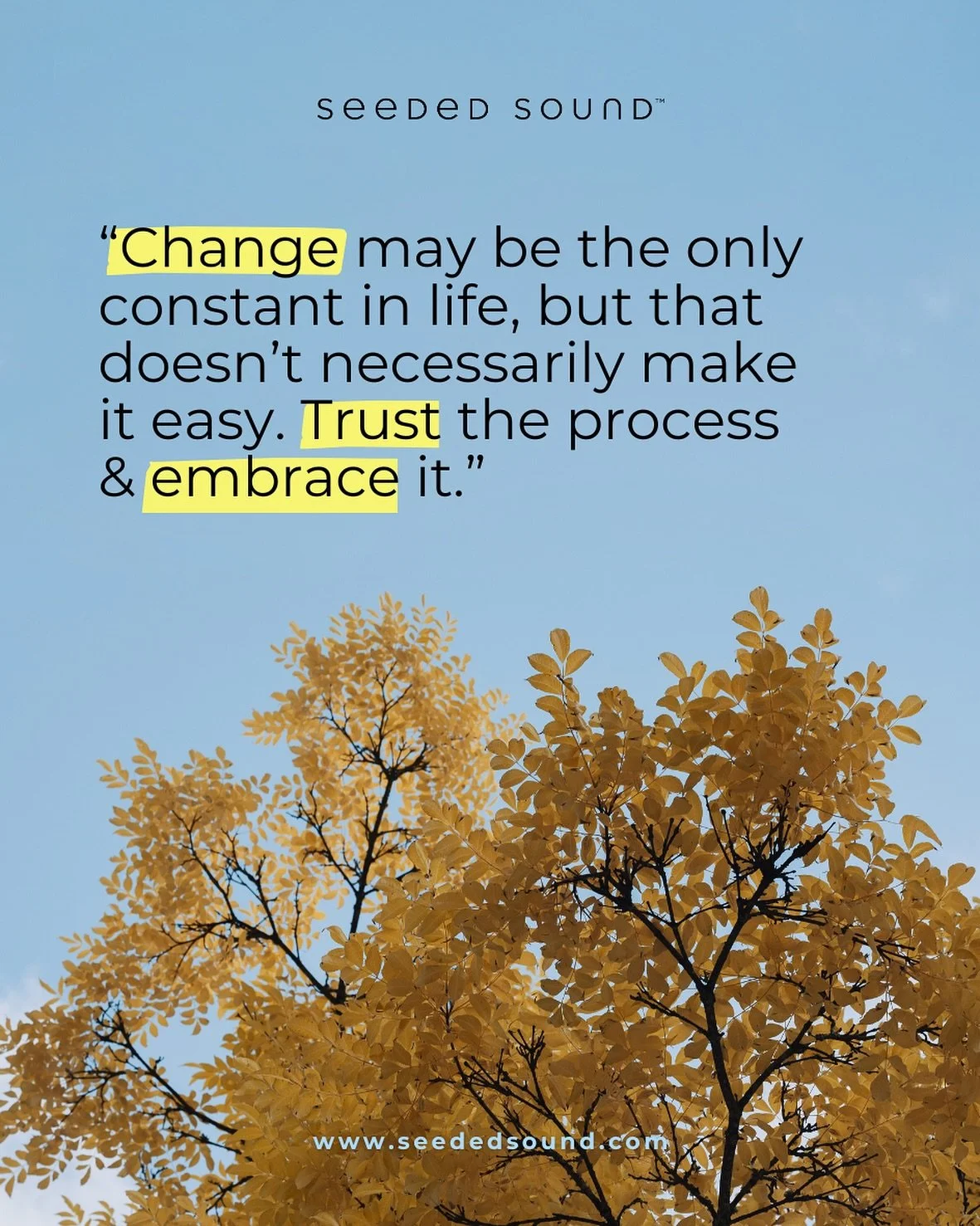 ✨ 3 Neuroscience-backed ways to embrace seasonal change…
‌
1. **Ground your nervous system** → spend 10 minutes in nature daily, syncing with the shifting light + colors.
2. **Rewire with ritual** → anchor your mornings with a