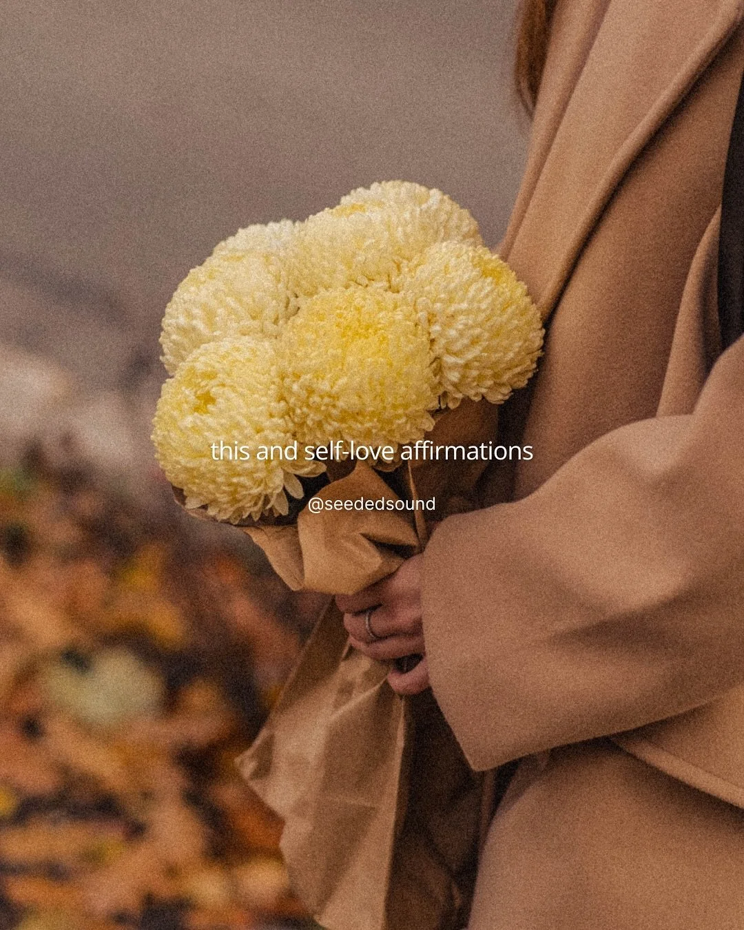 May this kind of manifestation find you this season of healing and transformation. 
Send this with the first person that shows up when you hit Share to manifest together 🍂 
Click the link in our bio to join the Seeded Sound waitlist and be one of