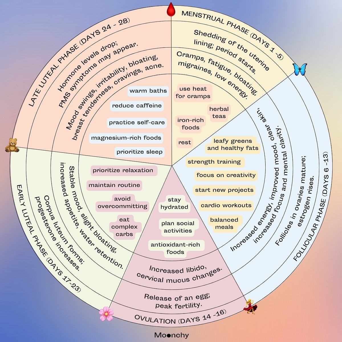 ✨ The Menstrual Cycle: 5 Phases Cheat Sheet ✨

Each phase of your menstrual cycle has its own rhythm, and nurturing yourself in sync with these phases can make a big difference. Here&rsquo;s your cheat sheet for the five phases:

🩸1. Menstrual Phase
