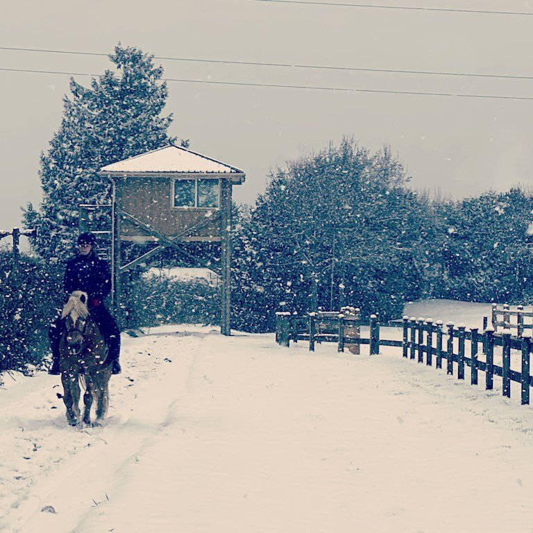 Snow Day at Twin Oaks!