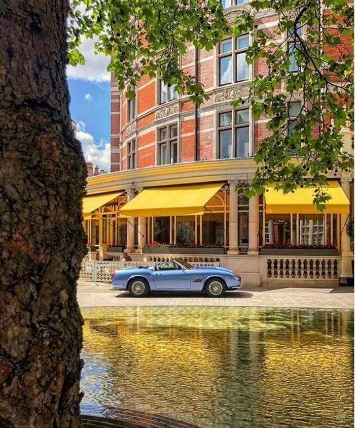 Tested and Approved by LM3C | London | CONNAUGHT MARTINI 
-
The classic aperitif, served with a unique twist from our famous trolley, tailored to your taste with handmade bitters.
-
Photo Credit: @theconnaught
-
#martini #martinique #martinis #martin