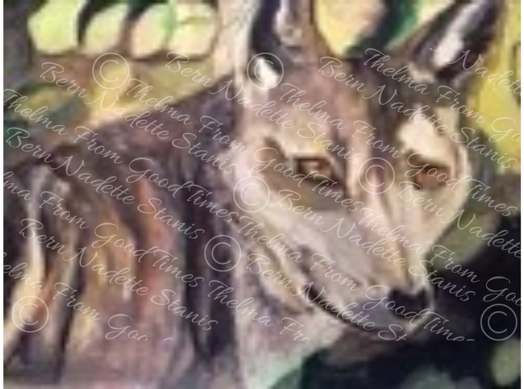 The Fox with watermark.png