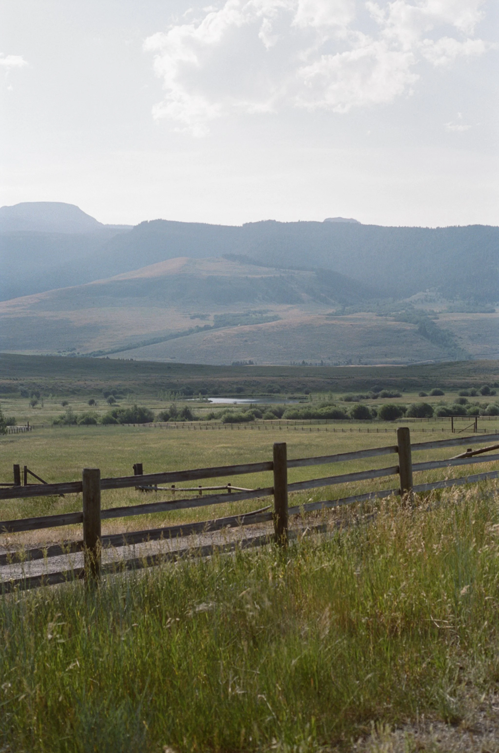 website momtana-044.jpg