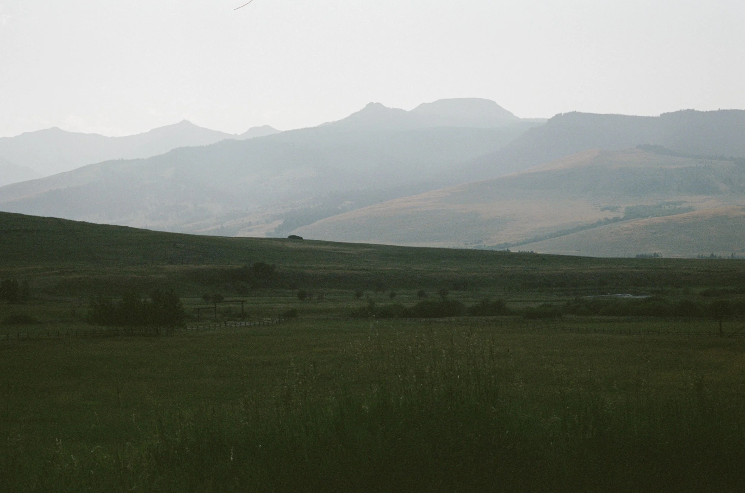 website momtana-066.jpg