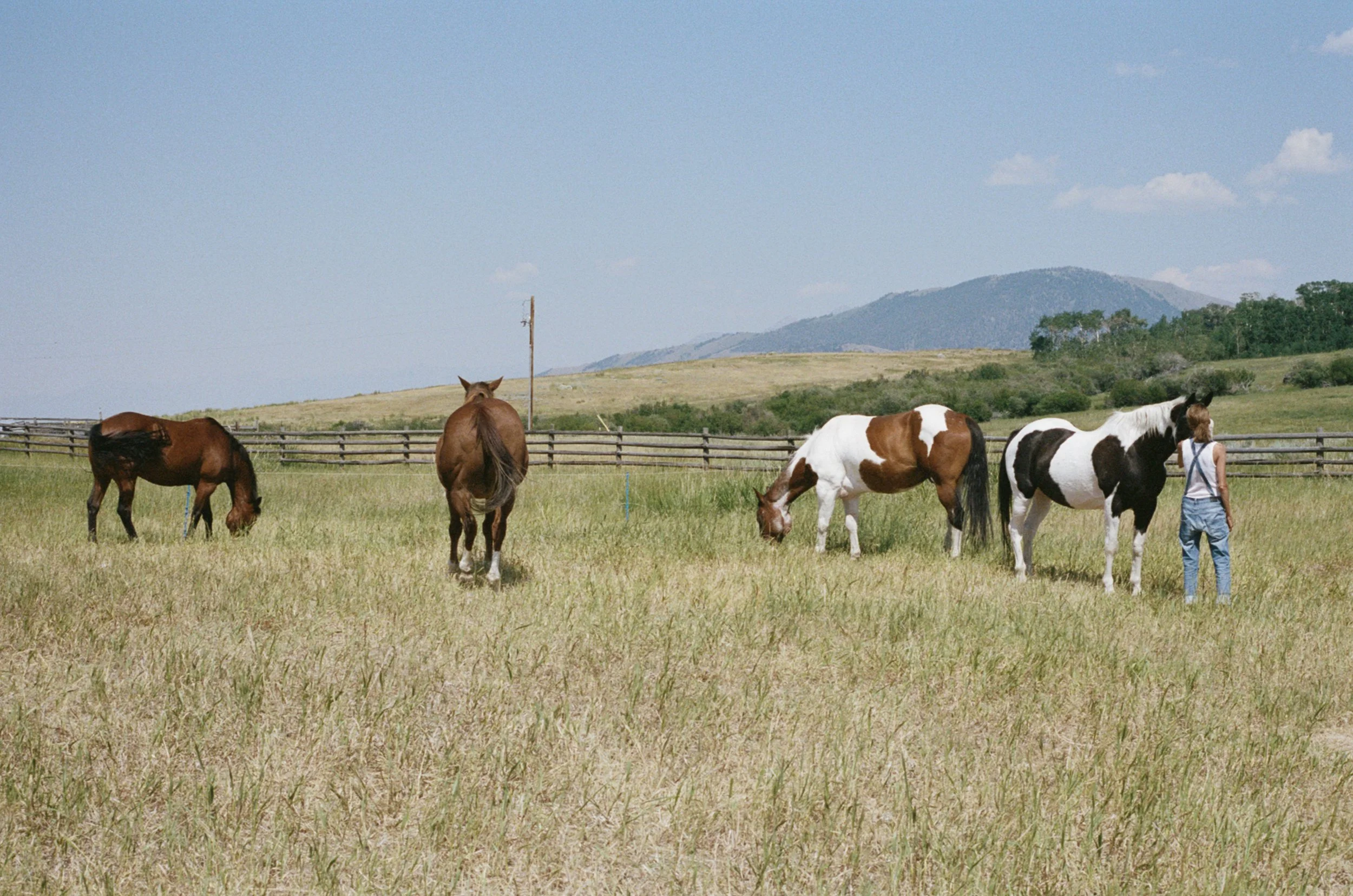 website momtana-051.jpg