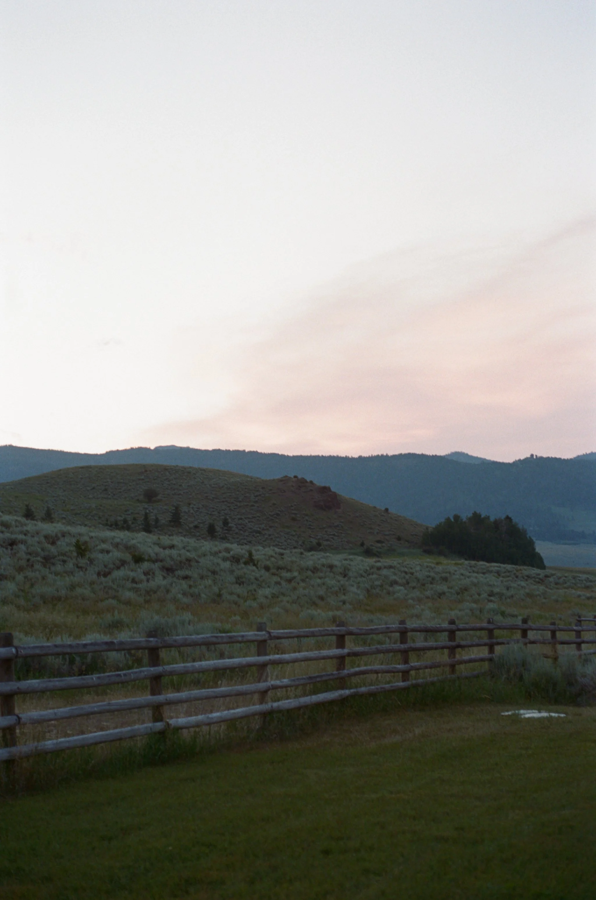 website momtana-039.jpg