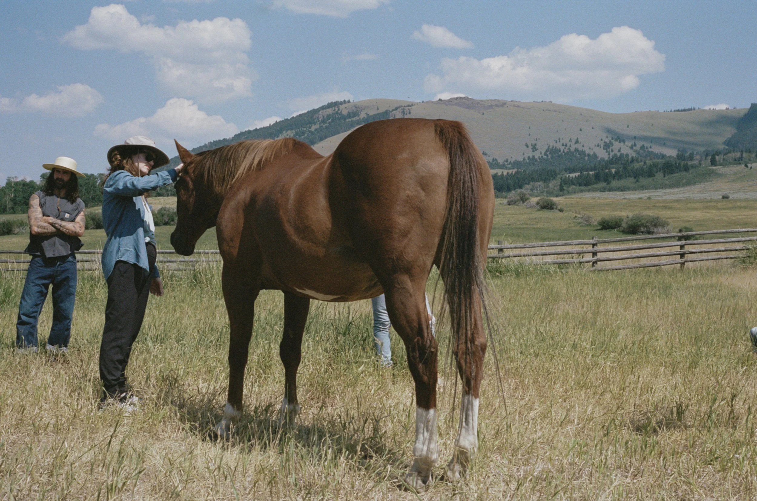 website momtana-043.jpg