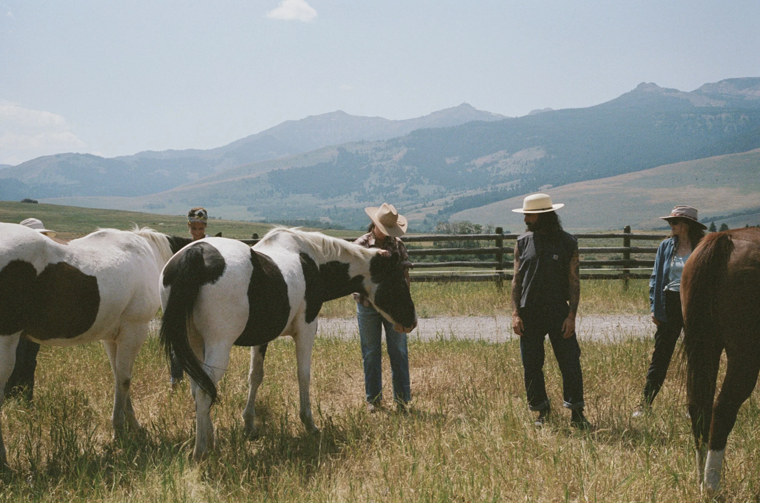 website momtana-049.jpg