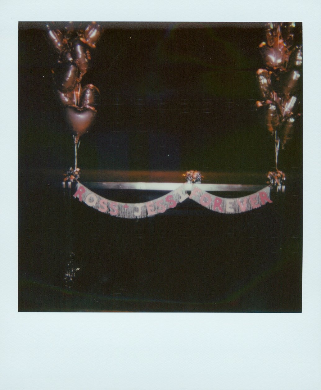 Wedding-taken-on-polaroids29.jpg