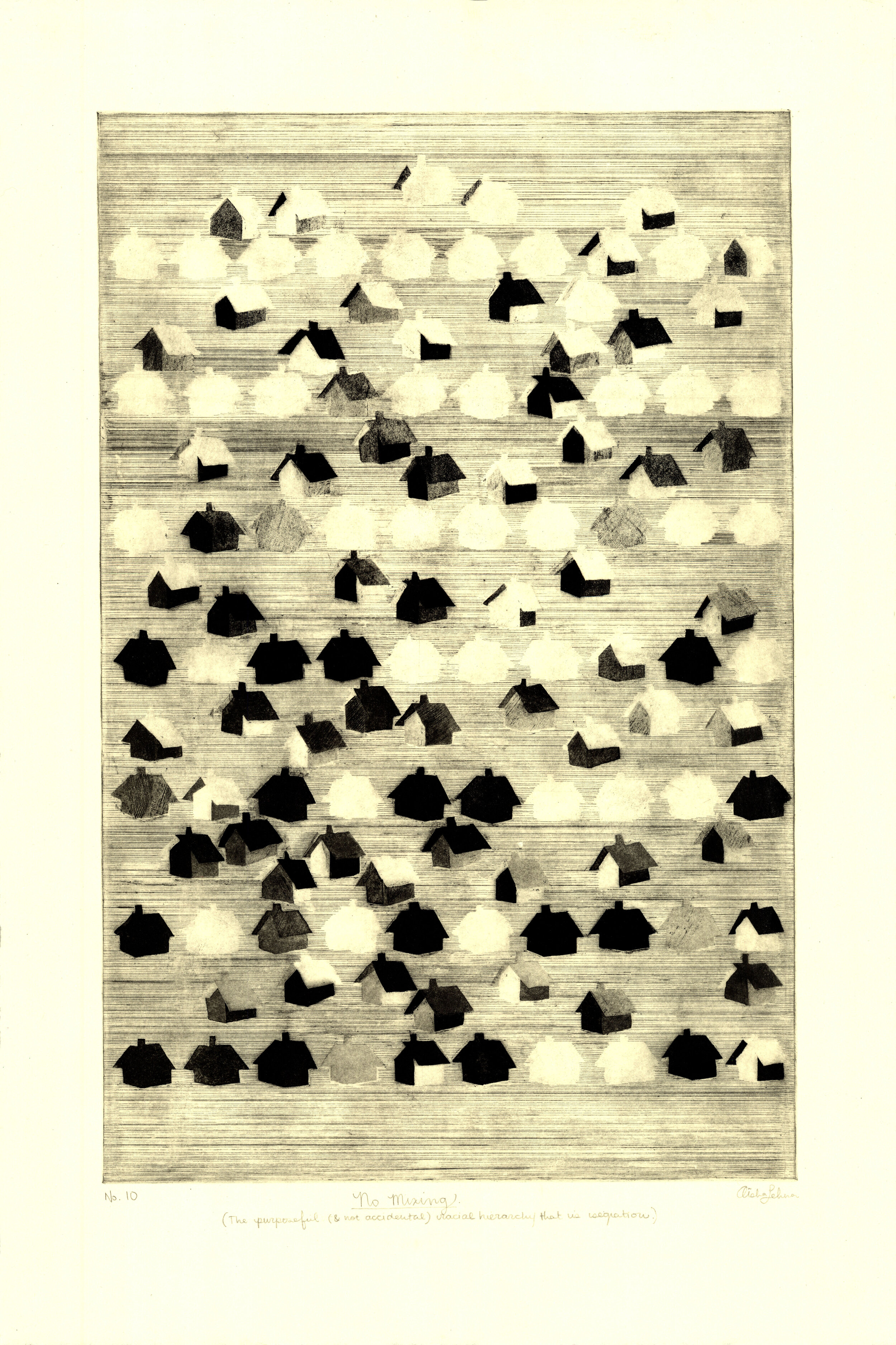 No. 10: No Mixing. (The purposeful (& not accidental) racial hierarchy that is segregation.)