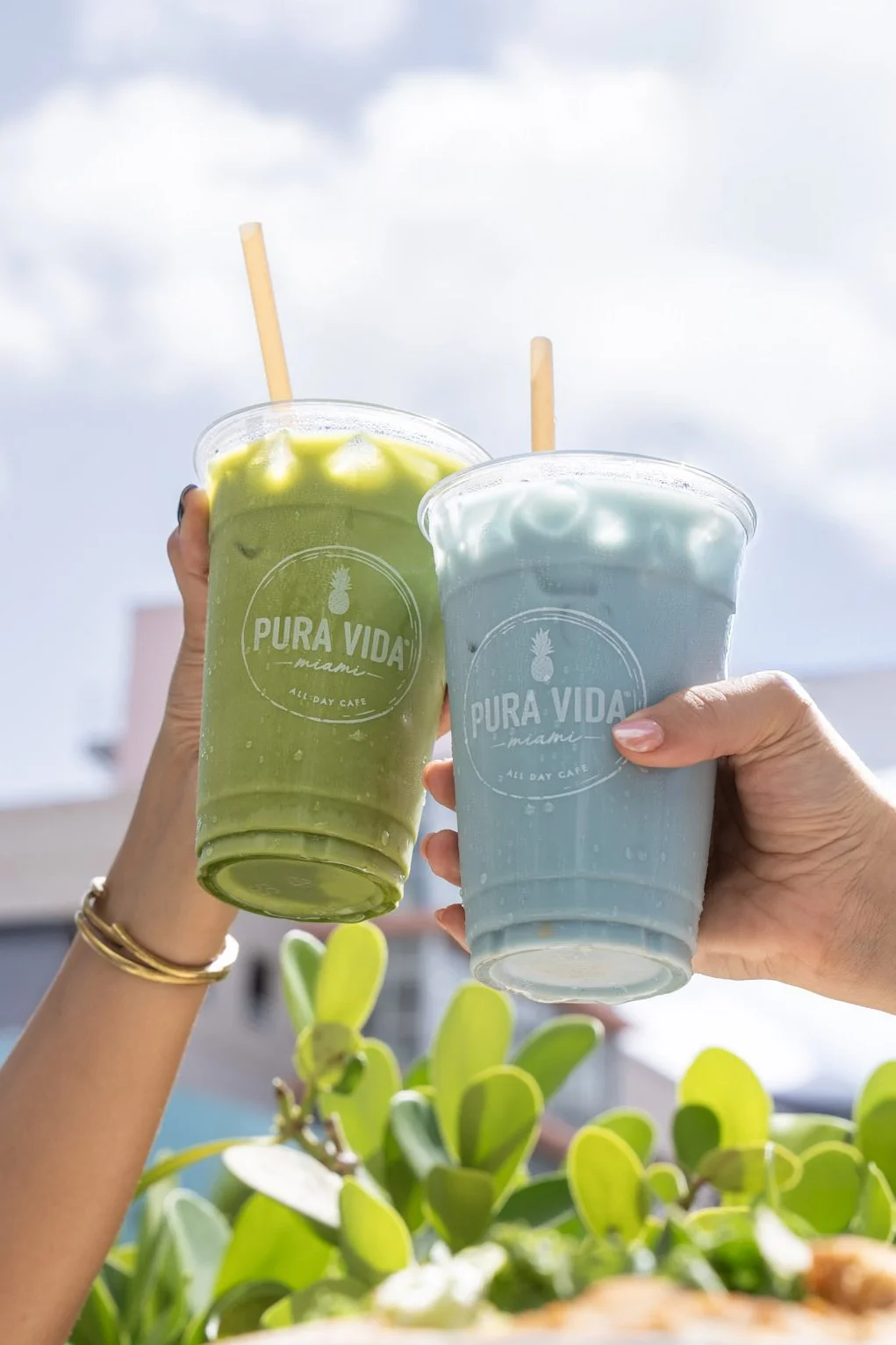 Matcha Latte and Blue Butterfly Latte in branded Pura Vida Miami cups