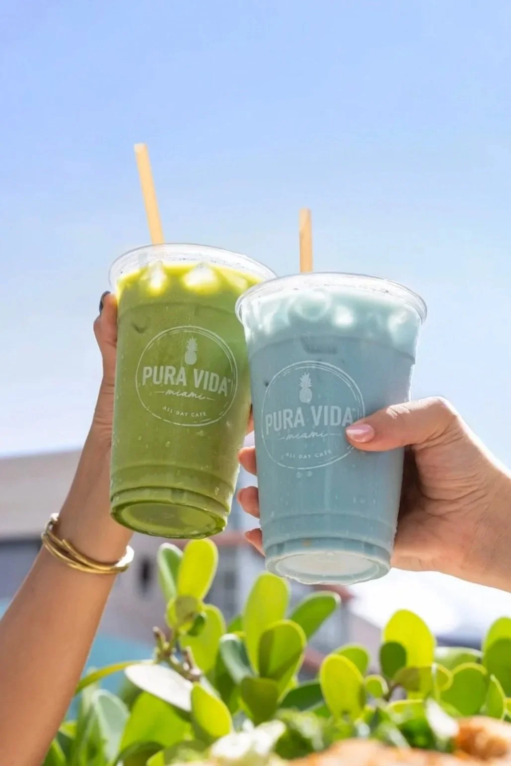 Matcha Latte and Blue Butterfly Latte in branded Pura Vida Miami cups