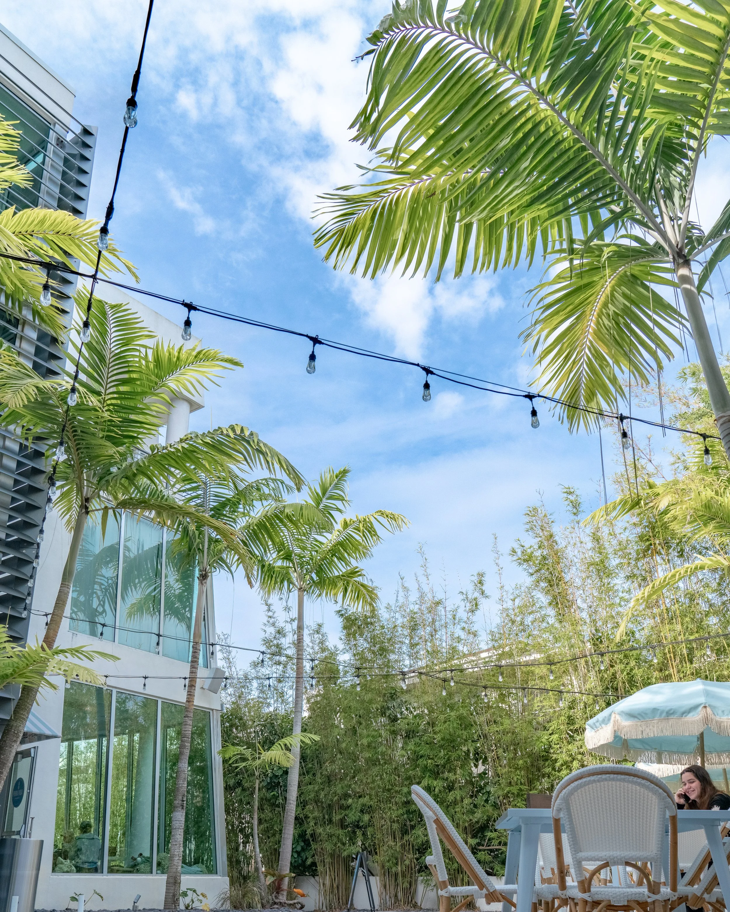 Modern outdoor patio area with palm trees, string lights, wicker chairs, and a blue sky background.
