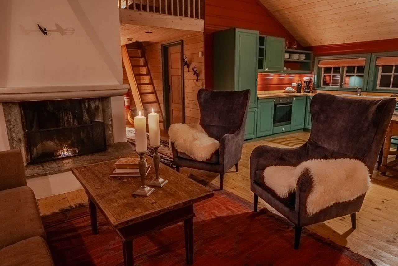 Stue Leine 2 - stor.jpeg