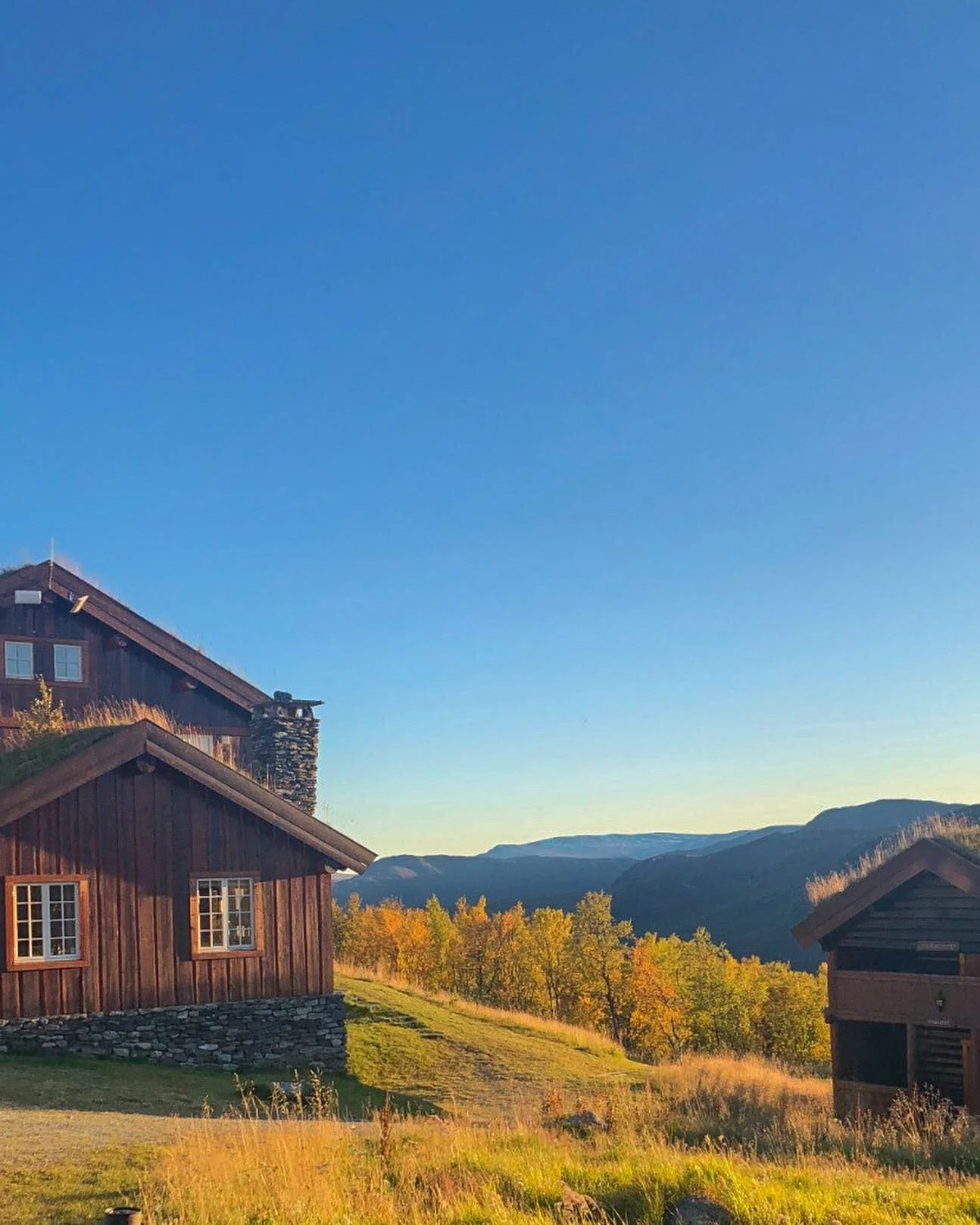 Vi har en fantastisk sommer p&aring; fjellet. Sol, blomster, utsikt og kulinarisk mat med en sesongopplevelse p&aring; tallerkenen - det er Harahorn!

#hemsedal #harahorn #gr&oslash;ndalen