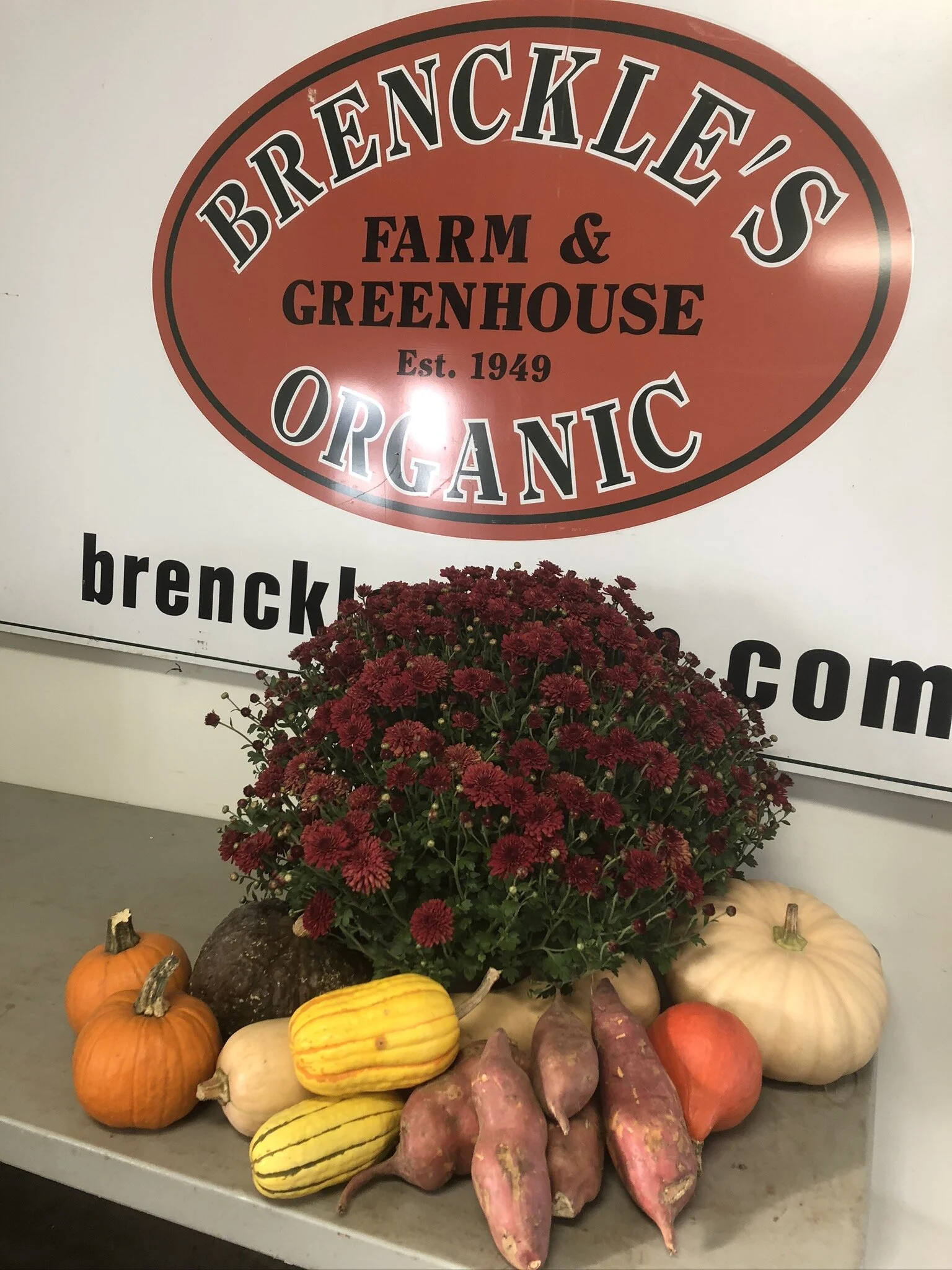 Brenckle's Organic Farm and Greenhouse photo 4