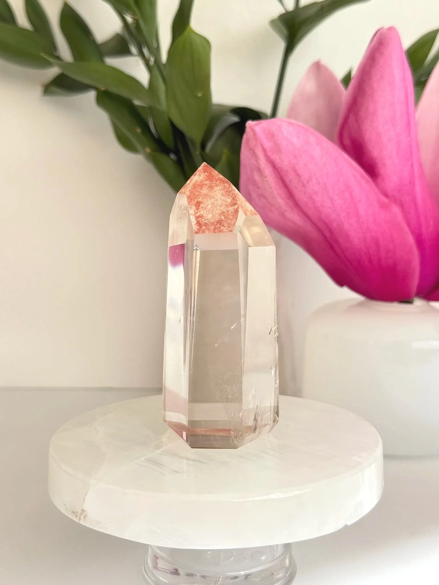 Red Lemurian