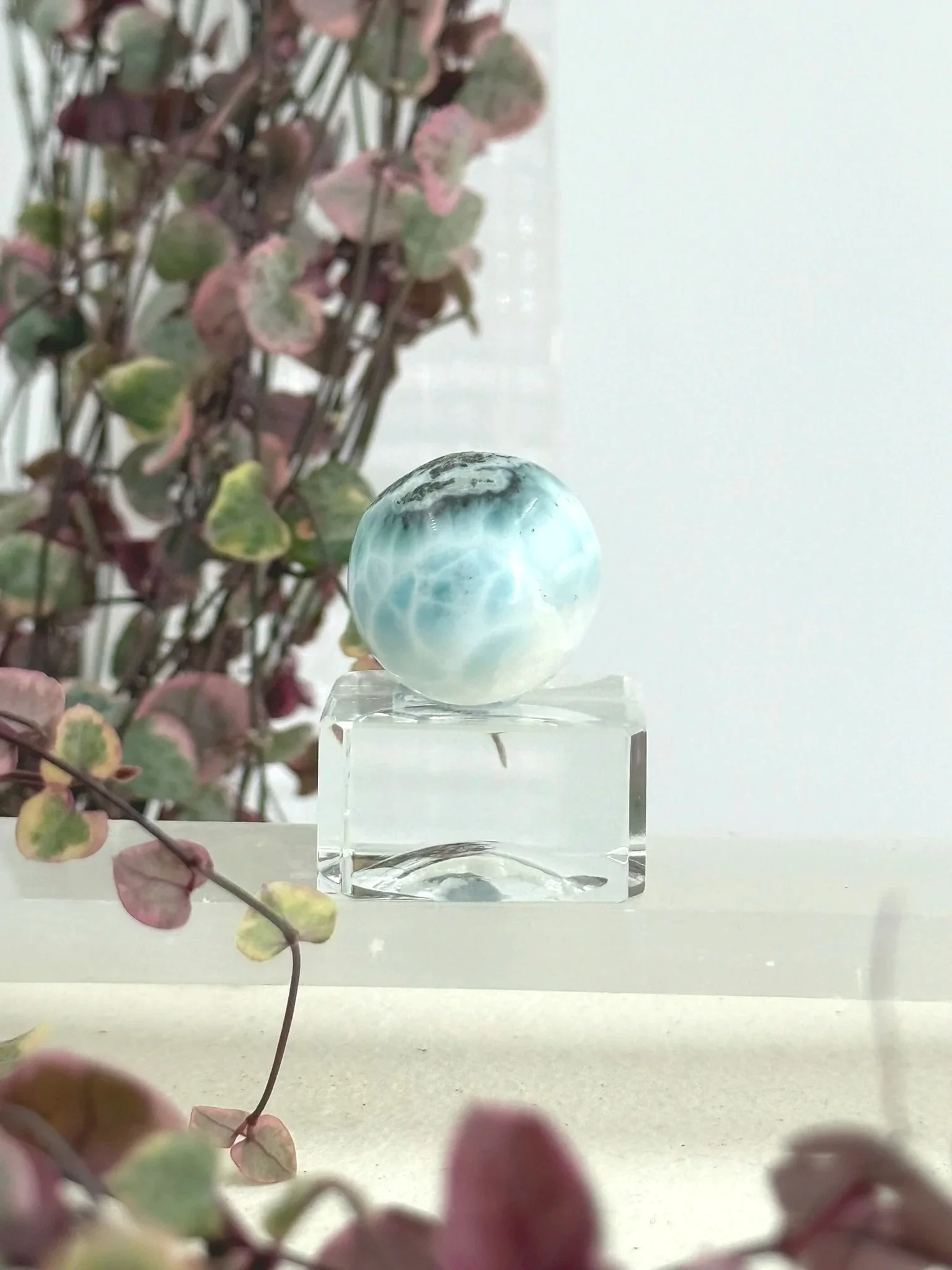 Larimar - New Zealand