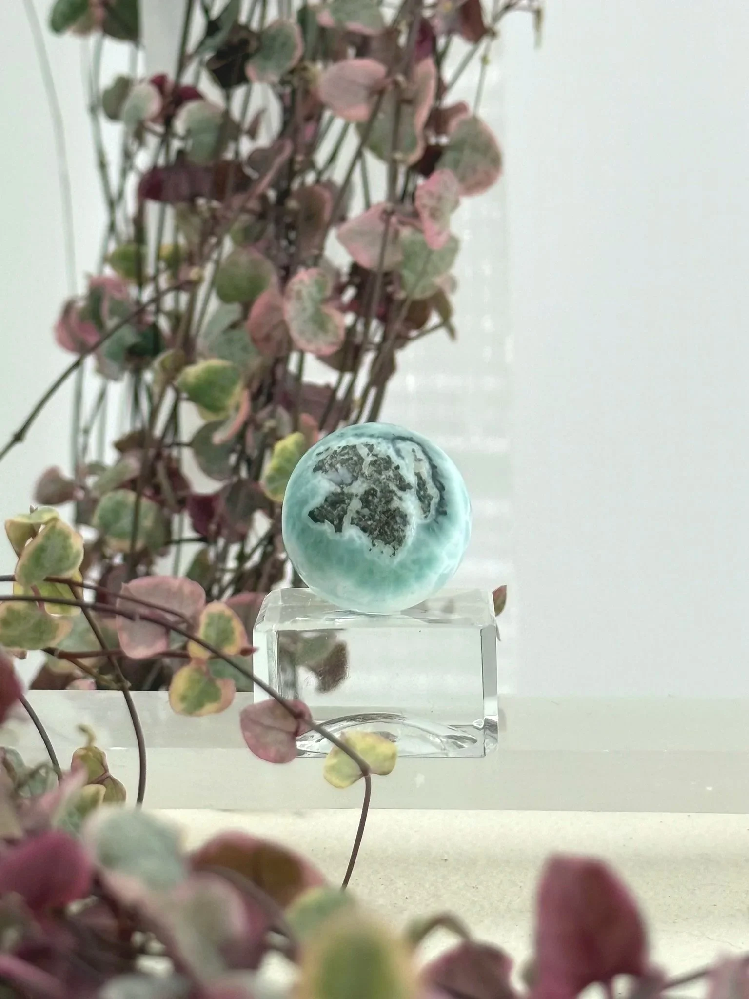 Larimar - New Zealand