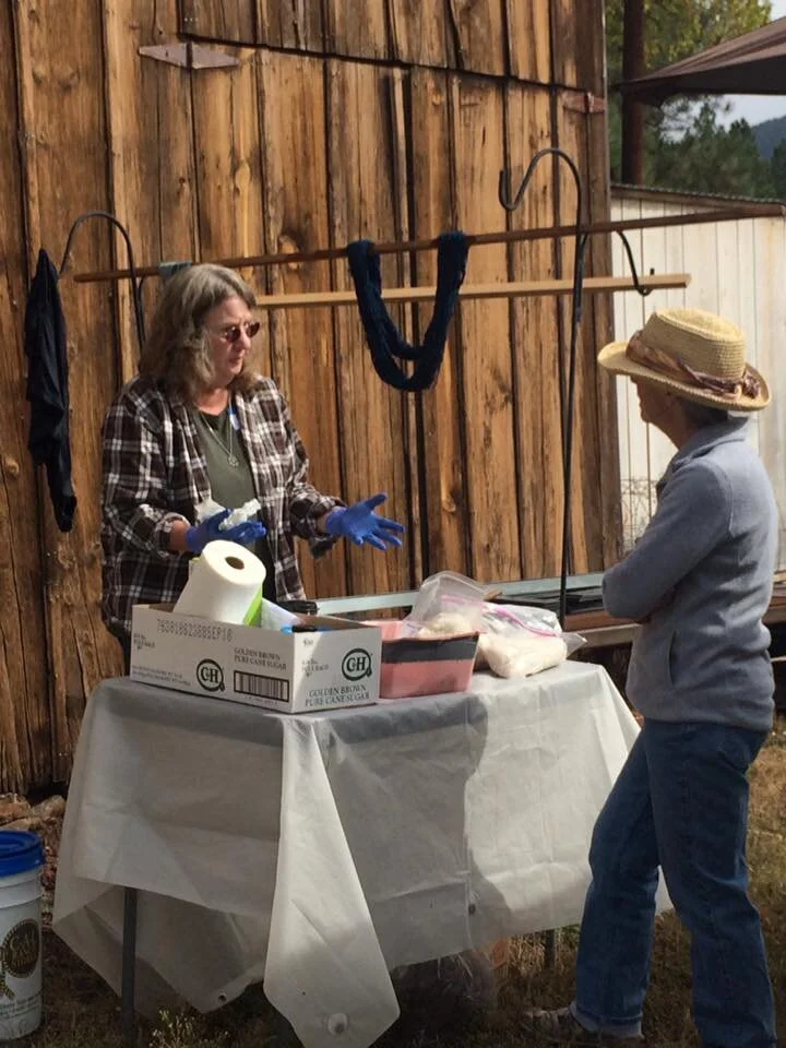 Kathy.dye.demo.fair.jpg