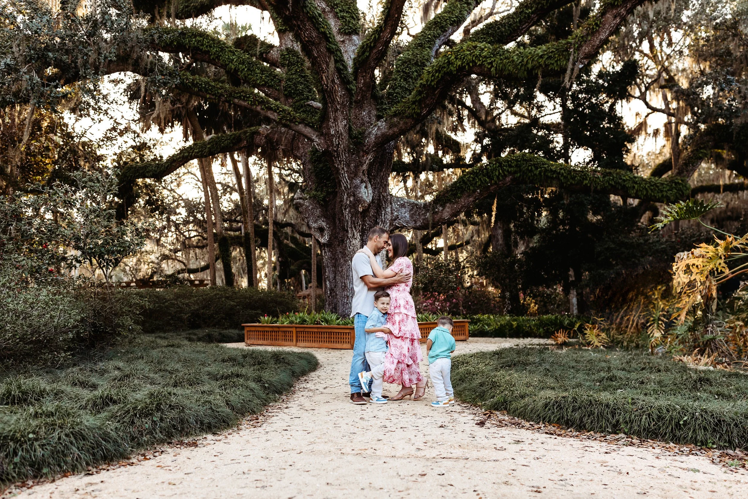 family embraced under a large oak tree and their children are running and playing